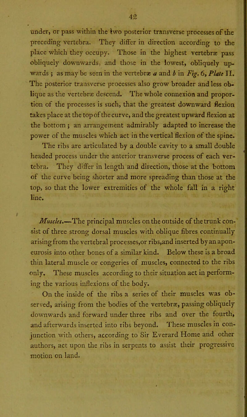 under, or pass within the hvo posterior transverse processes of the preceding vertebra. They differ in direction according to the place which they occupy. Those in the highest vertebrae pass obliquely downwards, and those in the lowest, obliquely up- wards ; as may be seen in the vertebrae a and b in Fig. 6, Plate II. The posterior transverse processes also grow broader and less ob- lique as the vertebrae descend. The whole connexion and propor- tion of the processes is such, that the greatest downward flexion takes place at the top of the curve, and the greatest upward flexion at the bottom ; an arrangement admirably adapted to increase the power of the muscles which act in the vertical flexion of the spine. The ribs are articulated by a double cavity to a small double headed process under the anterior transverse process of each ver- tebra. They differ in length and direction, those at the bottom of tire curve being shorter and more spreading than those at the top, so that the lower extremities of the whole fall in a right line. Muscles.—The principal muscles on the outside of the trunk con- sist of three strong dorsal muscles with oblique fibres continually arisingfrom the vertebral processes,or ribs,and inserted by an apon- eurosis into other bones of a similar kind. Below these is a broad thin lateral muscle or congeries of muscles, connected to the ribs only. These muscles according to their situation act in perform- ing the various inflexions of the body. On the inside of the ribs a series of their muscles was ob- served, arising from the bodies of the vertebree, passing obliquely downwards and forward under three ribs and over the fourth, and afterwards inserted into ribs beyond. These muscles in con- junction with others, according to Sir Everard Home and other authors, act upon the ribs in serpents to assist their progressive motion on land.
