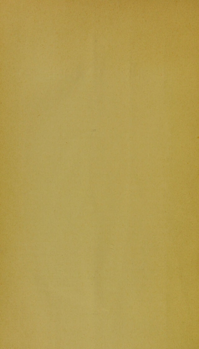 digitised image 2