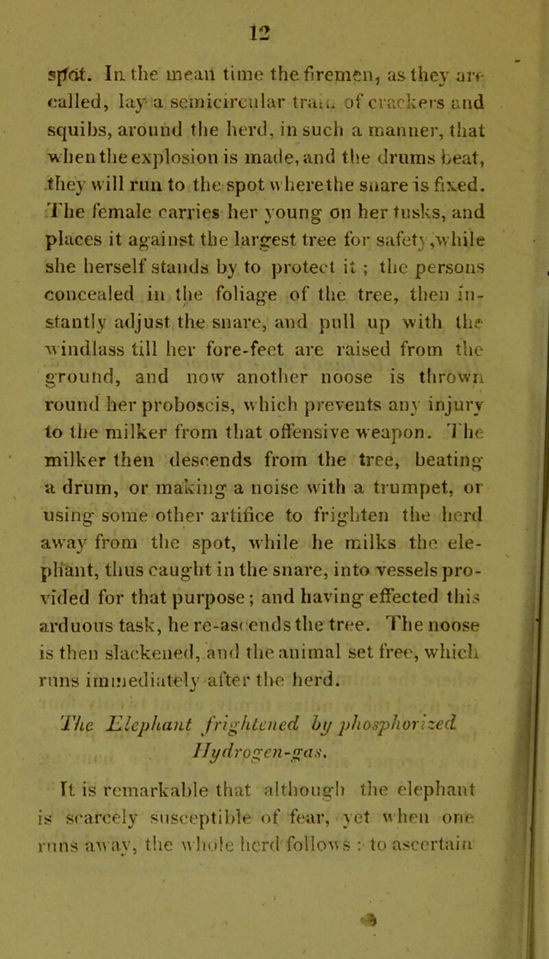 sjfat. lathe, mean time the firemen, as they are ealled, lay a semicircular trati. of crackers and squibs, around the herd, in such a manner, that ■when tlie explosion is made, and the drums beat, they will run to the spot where the Siiare is fixed. 'I'he female carries her young on her tusks, and places it against the largest tree for safety,while she herself stands by to protect it ; the persons concealed in the foliage of the tree, then in- stantly adjust the snare, and pull up with the windlass till her fore-feet are raised from the ground, and now another noose is thrown round her proboscis, which prevents any injury to the milker from that offensive weapon. 'J'he milker then descends from the tree, beating a drum, or making a noise with a trumpet, or using some other artifice to frighten the hcril away from the spot, while he milks the ele- phant, thus caught in the snare, into vessels pro- vided for that purpose; and having effected this arduous task, he re-asrends the tree. The noose is then slackened, and the animal set free, which runs iminediatelv after the herd. a/ The IZlephant frightened hi/ phosphorized IJyd rogcn-gaa. It is remarkable that although tlie elephant is scarcely susceptible of fear, yet when one runs an ay, the n hole hcnl follows :• to ascertain