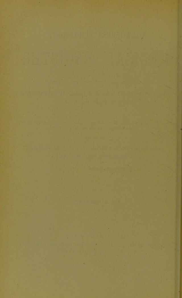 digitised image 2