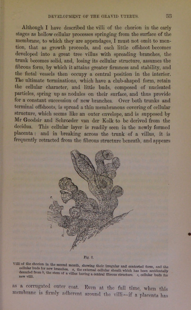 Although I have described the villi of the chorion in the early stages as hollow cellular processes springing from the surface of the membrane, to wliich they are appendages, I must not omit to men- tion, that as growth proceeds, and each little offshoot becomes developed into a great tree villus with spreading branches, the trunk becomes solid, and, losing its cellular structure, assimies the fibrous form, by which it attains greater firmness and stability, and the foetal vessels then occupy a central position in the interior. The ultimate terminations, which have a club-shaped form, retain the cellidar character, and little buds, composed of nucleated particles, spring up as nodules on their surface, and thus provide for a constant succession of new branches. Over both trunks and tenninal offshoots, is spread a thin membranous covering of cellulai' structure, wliich seems like an outer envelope, and is supposed by Mr Goodsir and Sehroeder van der Kolk to be derived from the decidua. This cellular layer is readily seen in the newly formed placenta : and in breaking across the trunk of a villus, it is frequently retracted from the fibrous structure beneath, and appears Fig. 8. Regular and contorted fonn, and the dPTinflMl frnm h ♦», * the external cellular sheath which has been accidentally Sew S. ■ buds for as a corrugated outer coat. Even at the full time, when this membrane is firmly adherent around the villi^if a placenta has