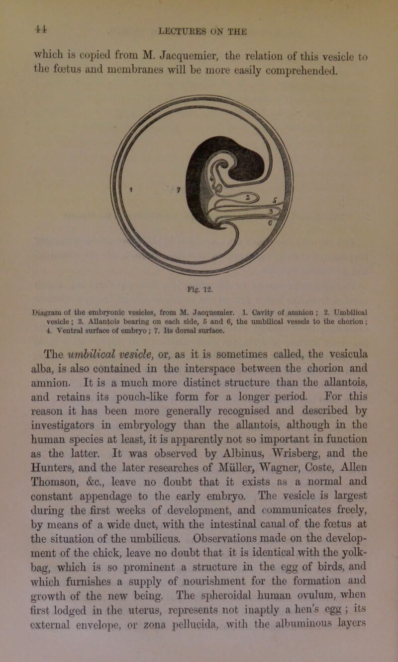 it which is copied from M. Jacquemier, the relation of this vesicle to the foetus and membranes will be more easily comprehended. Fl«. 12. niagram of the embryonic vesicles, from M. Jacquemier. 1. Cavity of amnion ; 2. Umbilical vesicle; 3. Allantois bearing on each side, 6 and 6, the umbilical vessels to the chorion; 4. Ventral surface of embryo ; 7. Its dorsal surface. The umbilical vesicle, or, as it is sometimes called, the vesicula alba, is also contained in the interspace between the chorion and amnion. It is a much more distinct structure than the allantois, and retains its pouch-like form for a longer period. For this reason it has been more generally recognised and described by investigators in embryology than the allantois, although in the human species at least, it is apparently not so important in function as the latter. It was observed by Albums, Wrisberg, and the Hunters, and the later researches of Muller, Wagner, Coste, Allen Thomson, &c., leave no doubt that it exists as a normal and constant appendage to the early embryo. The vesicle is largest during the first weeks of development, and communicates freely, by means of a wide duct, with the intestinal canal of the foetus at the situation of the umbilicus. Observations made on the develop- ment of the chick, leave no doubt that it is identical with the yolk- bag, which is so prominent a structure in the egg of birds, and which furnishes a supply of nourishment for the formation and growth of the new being. The sidieroidal hmnan ovulum, when first lodged in the uterus, represents not inaptly a hen’s egg; its external envclo]ic, or zona pcllucida, with the albuminous layers
