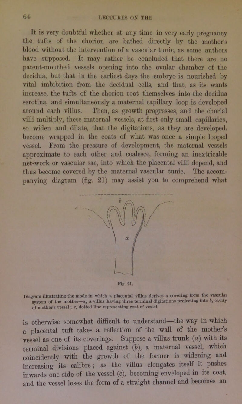 (j+ It is very doubtful whetlier at any time in very early pregnancy the tufts of the chorion are bathed directly by the mother’s blood Avithout the intervention of a vascular tunic, as some authors have supposed. It may rather be concluded that there are no patent-mouthed vessels opening into the ovular chamber of the decidua, but that in the earliest days the embryo is nourished by vital imbibition from the decidual cells, and that, as its wants increase, the tufts of the chorion I’oot themselves into the decidua serotina, and simultaneously a maternal capillary loop is developed around each villus. Then, as growth progresses, and the chorial villi multiply, these maternal vessels, at first only small capillaries, so Aviden and dilate, that the digitations, as they are developed, become wrapped in the coats of what was once a simple looped vessel. From the pressure of development, the maternal vessels approximate to each other and coalesce, forming an inextricable net-Avork or vascular sac, into which the placental villi depend, and thus become covered by the maternal vascular tunic. The accom- panying diagi’am (fig. 21) may assist you to comprehend what FiK. 21. Uiagram Illustrating the mode In which a placental villus derives a covering from tlie vascular system of the mother—a, a vlUus having three terminal digitations projecting into b, cavity of mother's vessel; c, dotted line representing coat of vessel. is otherAvise somewhat difficult to understand—the Avay in which a placental tuft takes a reflection of the wall of the mother’s vessel as one of its coverings. Suppose a villus trunk (a) Avith its terminal divisions placed against (b), a maternal vessel, which coincidently Avith the gi*owth of the former is AAudening and increasing its calibre; as the villus elongates itself it pushes iiiAvards one side of the vessel (c), becoming enveloped in its coat, and the vessel loses the form of a straight channel and becomes an