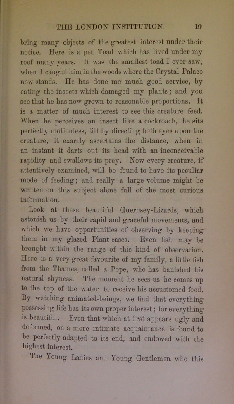 bring many objects of tlie greatest interest under tlieir notice. Here is a pet Toad wbicb bas lived under my roof many years. It was the smallest toad I ever saw, when I caught him in the woods where the Crystal Palace now stands. lie has done me much good service, by eating the insects which damaged my plants; and you see that he has now grown to reasonable proportions. It is a matter of much interest to see this creature feed. When he perceives an insect Like a cockroach, he sits perfectly motionless, till by directing both eyes upon the creature, it exactly ascertains the distance, when in an instant it darts out its head with an inconceivable rapidity and swallows its prey. Now every creature, if attentively examined, will be found to have its peculiar mode of feeding; and really a large volume might be written on this subject alone full of the most curious information. Look at these beautiful Guernsey-Lizards, which astonish us by their rapid and graceful movements, and which we have opportunities of observing by keeping them in my glazed Plant-cases. Even fish may be brought witliin the range of this kind of observation. Here is a very great favourite of my familj’^, a little fish fi’om the Thames, called a Pope, who has banished his natural shyness. The moment he sees us he comes up to the top of the water to receive his accustomed food. By watching animated-beings, we find that everything possessing life has its own proper interest; for everything is beautiful. Even that which at first appears ugly and deformed, on a more intimate acquaintance is found to be perfectly adapted to its end, and endowed with the highest interest. The loung Ladies and Young Gentlemen, who this