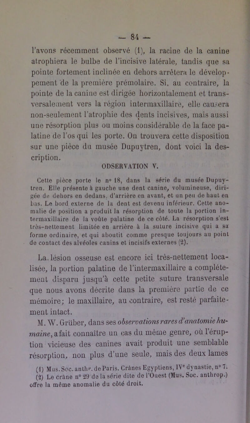 l’avons récemment observé (1), la racine de la canine atrophiera le bulbe de l’incisive latérale, tandis que sa pointe fortement inclinée en dehors arrêtera le dévelop- pement de la première prémolaire. Si, au contraire, la pointe de la canine est dirigée horizontalement et trans- versalement vers la région interinaxillaire, elle causera non-seulement l’atrophie des dents incisives, mais aussi une résorption plus ou moins considérable de la face pa- latine de l’os qui les porte. On trouvera cette disposition sur une pièce du musée Dupuytren, dont voici la des- cription. ODSERVATION V. Celte pièce porte le n® 18, dans la série du musée Dupuy- tren. Elle présente à gauche une dent canine, volumineuse, diri- gée de dehors on dedans, d’arrière en avant, et un peu do haut en bas. Le bord externe do la dent est devenu inférieur. Celte ano- malie de position a produit la résorption do toute la portion in- termaxillaire de la voûte palatine de ce côté. La résorption s’est très-nettement limitée en arrière à la suture incisive qui a sa forme ordinaire, et qui aboutit comme presque toujours au point do contact des alvéoles canins et incisifs externes (2). La. lésion osseuse est encore ici très-nettement loca- lisée, la portion palatine de l’intermaxillaire a complète- ment disparu jusqu’à cette petite suture transversale que nous avons décrite dans la première partie de ce mémoire; le maxillaire, au contraire, est resté parfaite- ment intact. M. W. Grüber, dans ses observations rares d'anatomie hu~ marne, a fait connaître un cas du même genre, où l’érup- tion vicieuse des canines avait produit une semblable résorption, non plus d’une seule, mais des deux lames (1) Mus. Soc. anthr. de Paris. Crânes Egyptiens, IV® dynastie, n“ 7. (2) Le crâne n° 29 do la série dite de l’Ouest (Mus. Soc. anlhrop.) offre la même anomalie du côté droit.