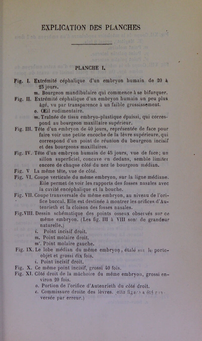 EXPLICATION DES PLANCHES PLANCHE I. Fig. I. Extrémité céphalique d’un embryon humain de 20 à 25 jours. m. Bourgeon mandibulaire qui commence à se bifurquer. Fig. II. Extrémité céphalique d’un embryon humain un peu plus âgé, vu par transparence à un faible grossissement. 0. Œil rudimentaire. m. Traînée de tissu embryo-plastique épaissi, qui corres- pond au bourgeon maxillaire supérieur. Fig. III. Tète d’un embryon de 40 jours, représentée de face pour faire voir une petite encoche de la lèvre supérieure, qui correspond d’un point de réunion du beurgeon incisif et des bourgeons maxillaires. Fig. IV. Tête d’un embryon humain de 45 jours, vue de face; un sillon superficiel, concave on dedans, semble limiter encore de chaque côté du nez le bourgeon médian. Fig. V La même tête, vue de côté. Fig. VI. Coupe verticale du même embryon, sur la ligne médiane. Elle permet de voir les rapports des fosses nasales avec la cavité encéphalique et la bouche. Fig. VII. Coupc transversale du même embryon, au niveau de l’ori- fice buccal. Elle est destinée à montrer les orifices d’Au- tenrieth et la cloison des fosses nasales. Fig.VlIl. Dessin schématique des points osseux observés sur ce même embryon. (Les fig. 111 à VIII son! de grandeur naturelle.) 1. Point incisif droit. m. Point molaire droit. m'. Point molaire gauche. Fig. IX. Le lobe médian du même embryori, étale sur le porte- objet et grossi dix fois. t. Point incisif droit. Fig. X. Ce même point incisif, grossi 40 fois. Fig. XI. Côté droit de la mâchoire du même embryon, grossi en- viron 20 fois. 0. Portion de l’orifice d’Autenrielh du côté droit. c. Commissure droite des lèvres, ^elle a été rrn ■ versée par erreur.)