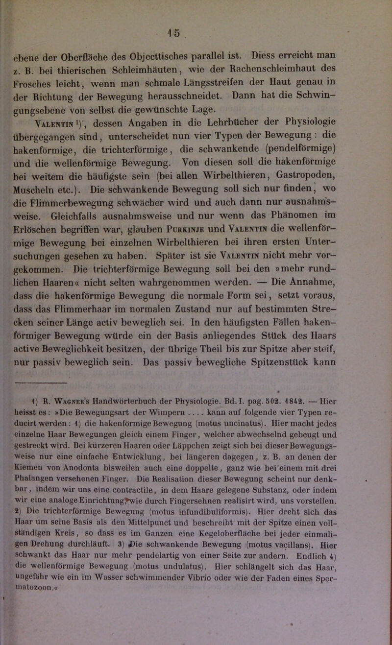 ebene der Oberfläche des Objecttisches parallel ist. Diess erreicht man ’i. B. bei thierischen Schleimhäuten, wie der Rachenschleimhaut des Frosches leicht, wenn man schmale Längsstreifen der Haut genau in der Richtung der Bewegung herausschneidet. Dann hat die Schwin- gungsebene von selbst die gewünschte Lage. Valentin ^)', dessen Angaben in die Lehrbücher der Physiologie übergegangen sind, unterscheidet nun vier T^Tien der Bewegung : die hakenförmige, die trichterförmige, die schwankende (pendelförmige) und die wellenförmige Bewegung. Von diesen soll die hakenförmige bei weitem die häufigste sein (bei allen Wirbelthieren, Gastropoden, Muscheln etc.). Die schwankende Bewegung soll sich nur finden, wo die Flimmerbewegung schwächer wird und auch dann nur ausnahms- weise. Gleichfalls ausnahmsweise und nur wenn das Phänomen im Erlöschen begriffen war, glauben Purkinje und Valentin die wellenför- mige Bewegung bei einzelnen Wirbelthieren bei ihren ersten Unter- suchungen gesehen zu haben. Später ist sie Valentin nicht mehr vor- gekommen. Die trichterförmige Bewegung soll bei den »mehr rund- lichen Haaren« nicht selten wahrgenommen werden. — Die Annahme, dass die hakenförmige Bewegung die normale Form sei, setzt voraus, dass das Flimmerhaar im normalen Zustand nur auf bestimmten Stre- cken seiner Länge activ beweglich sei. In den häufigsten Fällen haken- förmiger Bewegung würde ein der Basis anliegendes Stück des Haars active Beweglichkeit besitzen, der übrige Theil bis zur Spitze aber steif, nur passiv beweglich sein. Das passiv bewegliche Spitzenstück kann 1) R. Wagner’s Handwörterbuch der Physiologie. Bd. I. pag. 502. 1842. — Hier heisst es: »Die Bewegungsart der Wimpern .... kann auf folgende vier Typen re- ducirt werden : 1) die hakenförmige Bewegung (motus uncinatus). Hier macht jedes einzelne Haar Bewegungen gleich einem Finger, welcher abwechselnd gebeugt und gestreckt wird. Bei kürzeren Haaren oder Läppchen zeigt sich bei dieser Bewegungs- weise nur eine einfache Entwicklung, bei längeren dagegen, z. B. an denen der Kiemen von Anodonta bisweilen auch eine doppelte, ganz wie bei'einem mit drei Phalangen versehenen Finger. Die Realisation dieser Bewegung scheint nur denk- bar, indem wir uns eine contractile, in dem Haare gelegene Substanz, oder indem wir eine analoge Einrichtung?wie durch Fingersehnen realisirt wird, uns vorstellen. 2) Die trichterförmige Bewegung (motus infundibuliformis). Hier dreht sich das Haar um seine Basis als den Mittelpunct und beschreibt mit der Spitze einen voll- ständigen Kreis, so dass es im Ganzen eine Kegeloberfläche bei jeder einmali- gen Drehung durchläuft. 3) üie schwankende Bewegung (motus vacillans). Hier schwankt das Haar nur mehr pendelartig von einer Seite zur andern. Endlich 4) die wellenförmige Bewegung (motus undulatus). Hier schlängelt sich das Haar, ungefähr wie ein im Wasser schwimmender Vibrio oder wie der F'aden eines Sper- matozoon.«