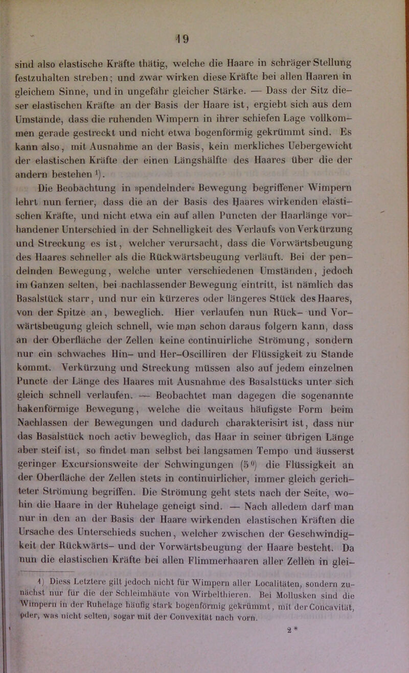 sind also elastische Kräfte thätig, welche die Haare in schräger Stellung festzuhalten streben; und zwar wirken diese Kräfte bei allen Haaren in gleichem Sinne, und in ungefähr gleicher Stärke. — Dass der Sitz die- ser elastischen Kräfte an der Basis der Haare ist, ergiebt sich aus dem Umstande, dass die ruhenden Wimpern in ihrer schiefen Lage vollkom- men gerade gestreckt und nicht etwa bogenförmig gekrümmt sind. Es kann also, mit Ausnahme an der Basis, kein merkliches Uebergewicht der elastischen Kräfte der einen Längshälfte des Haares über die der andern bestehen i). Die Beobachtung in »pendelnder« Bewegung begriflener Wimpern lehrt nun ferner, dass die an der Basis des fjaares wirkenden elasti- schen Kräfte, und nicht etwa ein auf allen Puncten der Haarlänge vor- handener Unterschied in der Schnelligkeit des Verlaufs von Verkürzung und Streckung es ist, welcher verursacht, dass die Vorwärtsbeugung des Haares schneller als die Rückwärtsbeugung verläuft. Bei der pen- delnden Bewegung, welche unter verschiedenen Umständen, jedoch im Ganzen selten, bei nachlassender Bewegung eintritt, ist nämlich das Basalstück starr, und nur ein kürzeres oder längeres Stück des Haares, von der Spitze an, beweglich. Hier verlaufen nun Rück- und Vor- wärtsbeugung gleich schnell, wie man schon daraus folgern kann, dass an der Oberlläche der Zellen keine continuirliche Strömung, sondern nur ein schwaches Hin- und Her-Oscilliren der Flüssigkeit zu Stande kommt. Verkürzung und Streckung müssen also auf jedem einzelnen Functe der Länge des Haares mit Ausnahme des Basalstücks unter sich gleich schnell verlaufen. — Beobachtet man dagegen die sogenannte hakenförmige Bewegung, welche die weitaus häufigste Form beim Nachlassen der Bewegungen und dadurch charakterisirt ist, dass nur das Basalstück noch activ beweglich, das Haar in seiner übrigen Länge aber steif ist, so findet man selbst bei langsamen Tempo und äusserst geringer Excursionsweite der Schwingungen (5®) die Flüssigkeit an dei' Oberlläche der Zellen stets in continuirlicher, immer gleich gerich- teter Strömung begrilfen. Die Strömung geht stets nach der Seite, wo- hin die Haare in der Ruhelage geneigt sind. — Nach alledem darf man nur in den an der Basis der Haare wirkenden elastischen Kräften die Ursache des Unterschieds suchen, welcher zwischen der Geschwindig- keit der Rückwärts- und der Vorwärtsbeugung der Haare besteht. Da nun die elastischen Kräfte bei allen Flimmerhaaren aller Zellen in glei- t) Diess Letztere gilt jedoch nicht für Wimpern aller Localitälen, sondern zu- nächst nur für die der Schleimhäute von Wirbelthieren. Bei Mollusken sind die Wimpern in der Ruhelage häufig stark bogenförmig gekrümmt, mit derConcavität, pfler, was nicht selten, sogar mit der Convexität nach vorn.