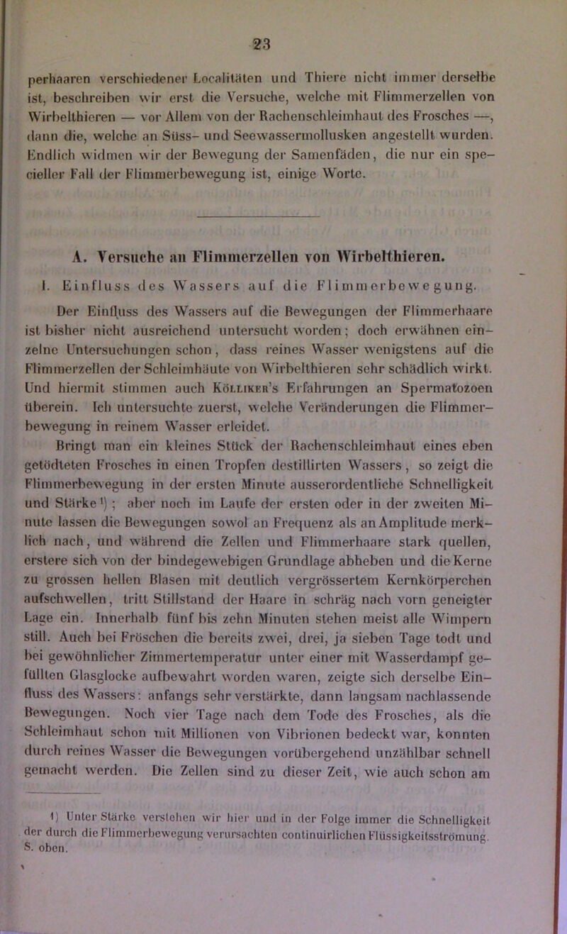 perhaaren verschiedener Localilaten und Thiere nicht immer derselbe ist, beschreiben wir erst die Versuche, welche mit Flimmerzellen von Wirbelthieren — vor Allem von der Rachenschleimhaut des Frosches —, dann tfie, welche an Süss- und Scewassennolliisken angestellt wurden. Kndlich widmen wii- der Bewegung der Samenfäden, die nur ein spe- ciellcr Fall der Flimmerbewegung ist, einige Worte. A. Versuche au Fliniiuerzellen von Wirbelthieren. 1. Einfluss des Wassers auf die Flimnierbovve gung. Der Einfluss des Wassers auf die Bewegungen der Flimmerhaare ist bisher nicht ausreichend untersucht worden; doch erwähnen ein- zelne Untersuchungen schon, dass reines Wasser wenigstens auf die Flimmerzellen der Schleimhäute von Wirbelthieren sehr schädlich wirkt. Und hiermit stimmen auch Kölliker’s Erfahrungen an Spermatozoen überein. Ich untersuchte zuerst, welche Veränderungen die Flimmer- bewegung in reinem Wasser erleidet. Bringt man ein kleines Stück der Rachcnschleimhaut eines eben getödteten Frosches in einen Tropfen destillirten Wassers, so zeigt die Flimmerbewegung in der ersten Minute ausserordentliche Schnelligkeit und Stärke >); aber noch im Laufe der ersten oder in der zweiten Mi- nute lassen die Bewegungen sowol an Frequenz als an Amplitude merk- lich nach, und während die Zellen und Flimmerhaare stark quellen, erstere sich von der bindegewebigen Grundlage abheben und die Kerne zu grossen hellen Blasen mit deutlich vergrössertem Kernkörperchen aufschwellen, tritt Stillstand der Haare in schräg nach vorn geneigter Lage ein. Innerhalb fünf bis zehn Minuten stehen meist alle Wimpern still. Auch bei Fröschen die bereits zwei, drei, ja sieben Tage todt und bei gewöhnlicher Zinnnerlemperatur unter einer mit Wasserdampf ge- lülllen Glasglocke aufbewahrt worden waren, zeigte sich derselbe Ein- fluss des Wassers ; anfangs sehr verstärkte, dann langsam nachlassende Bewegungen. Noch vier Tage nach dem Tode des Frosches, als die Schleimhaut schon mit Millionen von Vibrionen bedeckt war, konnten durch reines Wasser die Bewegungen vorübergehend unzählbar schnell gemacht werden. Die Zellen sind zu dieser Zeit, wie auch schon am 1) Unter Stärke verstehen wir hier und in der Folge immer die Schnelligkeit der durch die Flimmerhcwegung verursachten conlinuirliclien Flüssigkeitsströmung. S. oben.