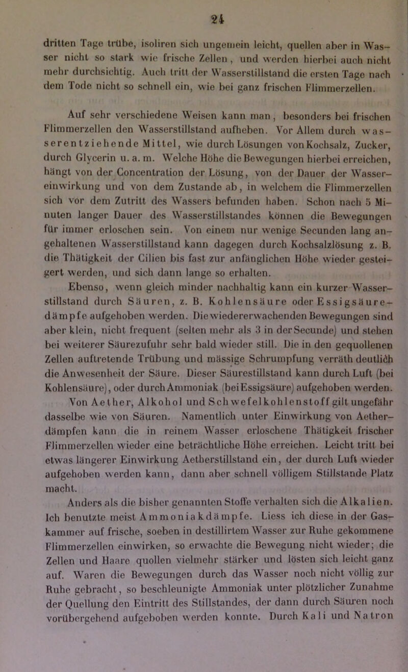 dritten Tage trübe, isoliren sicli ungemein leicht, quellen aber in Was- ser nicht so stark wie frische Zellen , und werden hierbei auch nicht mehr durchsichtig. Auch tritt der Wasserstillstand die ersten Tage nach • dem Tode nicht so schnell ein, wie bei ganz frischen Flimmerzellen. Auf sehr verschiedene Weisen kann man, besonders hei frischen Flimmerzellen den Wasserstillstand aufheben. Vor Allem durch was- serentziehende Mittel, wie durch Lösungen vonKochsalz, Zucker, durch Glycerin u. a. m. Welche Höhe die Bewegungen hierbei erreichen, hängt von der Concentration der Lösung, von der Dauer der Wasser- einvvirkung und von dem Zustande ab, in welchem die Flimmerzellen sich vor dem Zutritt des Wassers befunden haben. Schon nach 5 Mi- nuten langer Dauer des Wasserstillstandes können die Bewegungen für immer erloschen sein. Von einem nur wenige Secunden lang an- gehaltenen VVasserstillstand kann dagegen durch Kochsalzlösung z. B. die Thätigkeit der Cilien bis fast zur anfänglichen Höhe wieder gestei- gert werden, und sich dann lange so erhalten. Ebenso, wenn gleich minder nachhaltig kann ein kurzer Wasser- stillstand durch Säuren, z. B. Kohlensäure oder Füssigsäure- dämpfe aufgehoben werden. Die wiedererwachenden Bewegungen sind aber klein, nicht frequent (selten mehr als 3 in derSecunde) und stehen bei weiterer Säurezufuhr sehr bald wieder still. Die in den gequollenen Zellen auflretende Trübung und mässige Schrumpfung verräth deutlich die Anwesenheit der Säure. Dieser Säurestillstand kann durch Luft (bei Kohlensäure), oder durch Ammoniak (bei Essigsäure) aufgehoben werden. Von Aether, Alkohol und Schwefelkohlenstoff gilt ungefähr dasselbe wie von Säuren. Namentlich unter Einwirkung von Aether- dämpfen kann die in reinem Wasser erloschene Thätigkeit frischer Flimmerzellen wieder eine beträchtliche Höhe erreichen. Leicht tritt bei etw'as längerer Einwirkung Aetherstillstand ein, der durch Luft wieder aufgehoben werden kann, dann aber schnell völligem Stillstände l’latz macht. Anders als die bisher genannten Stolle verhalten sich die Alkalien. Ich benutzte meist Ammoniakdämpfe. Liess ich diese in der Gas- kammer auf frische, soeben in destillirtem Wasser zur Ruhe gekommene Flimmerzellen ein wirken, so erwachte die Bewegung nicht wieder; die Zellen und Haare quollen vielmehr stärker und lösten sich leicht ganz auf. Waren die Bewegungen durch das Wasser noch nicht völlig zur Ruhe gebracht, so beschleunigte Ammoniak unter plötzlicher Zunahme der Quellung den Eintritt des Stillstandes, der dann durch Säimen noch vorübergehend aufgehoben werden konnte. Durch Kali und Natron