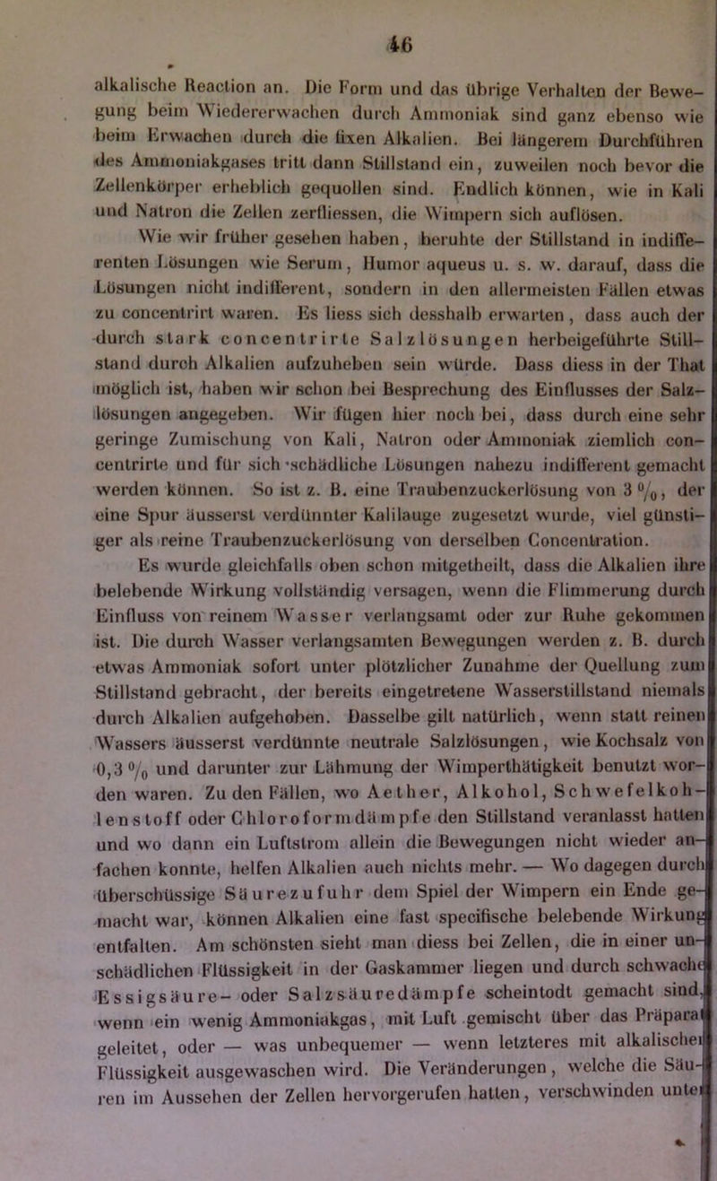 alkalische Heaclion an. Die Form und das übrige Verhalten der Bewe- gung beim AViedererwachen durch Ammoniak sind ganz ebenso wie beim lirwaohen durch die üxen Alkalien. Bei längerem Durchführen <les Ammoniakgases tritt dann Stillstand ein, zuweilen noch bevor die Zellenkürper erheblich gequollen sind. Endlich können, wie in Kali und Natron die Zellen zerfliessen, die Wimpern sich auflüsen. Wie wir früher gesehen haben, beruhte der Stillstand in indiffe- renten Lösungen wie Serum, Humor aqueus u. s. w. darauf, dass die Lösungen nicht indiffei'ent, sondern in den allermeisten Füllen etwas zu concentrirt waren. F)s liess sich desshalb erwarten , dass auch der durch stark concentrirte Salzlösungen herbeigeführte Still- stand durch Alkalien aufzuheben sein würde. Dass diess in der That iinöglich ist, haben w ir schon btü Besprechung des Einflusses der Salz- lösungen angegeben. Wir fügen hier noch bei, dass durch eine sehr geringe Zumischung von Kali, Natron oder Ammoniak ziemlich con- centrirte und für sich‘schüdliche Lösungen nahezu indifferent gemacht werden können. So ist z. B. eine Traubenzuckerlösung von 3 “/(,, der eine Spur üusserst verdünnter Kalilauge zugeselzt wurde, viel günsti- ger als reine Traubenzuckerlösung von derselben Concentration. Es wurde gleichfalls oben schon mitgetheilt, dass die Alkalien ihre belebende Wirkung vollstündig versagen, wenn die Flimmerung durch Einfluss von reinem Wasser verlangsamt oder zur Ruhe gekommen ist. Die durch Wasser verlangsamten Bewegungen werden z. B. durch etwas Ammoniak sofort unter plötzlicher Zunahme der Quellung zum Stillstand gebracht, der bereits eingetretene Wasserstillstand niemals durch Alkalien aufgehoben. Dasselbe gilt natürlich, wenn statt reinen Wassers üusserst verdünnte neutrale Salzlösungen, wie Kochsalz von 0,3% darunter zur Lühmung der Wimperthütigkeit benutzt wor- den waren. Zu den Füllen, wo Aether, Alkohol, Schwefelkoh- lenstoff oder ChloroformdSimpfe den Stillstand veranlasst hatten und wo dann ein Luflslrom allein die Bewegungen nicht wieder an- fachen konnte, helfen Alkalien auch nichts mehr. — Wo dagegen durch -überschüssige Süurezufuhr dem Spiel der Wimpern ein Ende ge- macht war, können Alkalien eine fast specifische belebende Wirkunjj entfalten. Am schönsten sieht man diess bei Zellen, die in einer un- schüdlichen Flüssigkeit in der Gaskammer liegen und durch schwächt Essigsüure- oder Salzsüuredämpfe scheintodt gemacht sind, wenn ein wenig Ammoniakgas, mit Luft gemischt über das Prüparai geleitet, oder — was unbequemer — w'enn letzteres mit alkalischei Flüssigkeit ausgewaschen wird. Die Veränderungen , welche die Säu- ren im Aussehen der Zellen hervorgerufen hatten, verschwinden uutei . 1 i