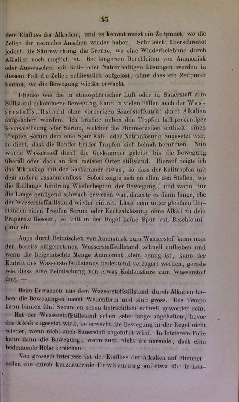 dem Einfluss der Alkalien, und es kommt meist ein Zeitpunct, wo die Zellen ihr normales Ansehen wieder haben. Sehr leicht überschreitet jedoch die Säurewirkung die Grenze, wo eine Wiederbelebung durch Alkalien noch möglich ist. Bei längerem Durchleiten von Ammoniak oder Auswaschen mit Kali- oder Natronhaltigen Lösungen werden in diesem Fall die Zellen schliesslich aufgelöst, ohne dass ein Zeitpunct kommt, wo die Bewegung wieder erwacht. Ebenso wie die in atmosphärischer Luft oder in Sauerstoff zum Stillstand gekommene Bewegung, kann in vielen Fällen auch der Was- serstoffslillstand ohne vorherigen Sauerstoffzutritt durch Alkalien aufgehoben werden. Ich brachte neben den Tropfen halbprocentiger Kochsalzlösung oder Serum, welcher die Flimmerzellen enthielt, einen Tropfen Serum dem eine Spur Kali- oder Nalronlösung zugesetzt war, so dicht, dass die Ränder beider Tropfen sich beinah berührten. Nun wurde Wasserstoff durch die Gaskammer geleitet bis die Bewegung überall oder doch an den meisten Orten Stillstand. Hierauf neigte ich das Mikroskop mit der Gaskammer etwas, so dass der Kalitropfen mit dem andern zusammenfloss. Sofort zeigte sich an allen den Stellen, wo die Kalilauge hindrang Wiederbeginn der Bewegung, und wenn nur die Lauge genügend schwach gewesen war, dauerte es dann lange, ehe der Wasserstoffstillstand wieder eintrat. Lässt man unter gleichen Um- stünden einen Tropfen Serum oder Kochsalzlösung ohne Alkali zu dem Präparate fliessen, so tritt in der Regel keine Spur von Beschleuni- gung ein. Auch durch Beimischen von Ammoniak zum Wasserstoff kann man den bereits eingetretenen Wassei-stoffstillstand schnell aufheben und wenn die beigemischte Menge Ammoniak klein genug ist, kann der Eintritt des Wasserstolfstillstands bedeutend vei'zögert werden, gerade wie diess eine Beimischung von etwas Kohlensäure zum Wasserstoff thut. — Beim Erwachen aus dem Wasserstoffstillsland durch Alkalien ha- ben die Bewegungen meist Wellenform und sind gross. Das Tempo kann binnen fünf Secunden schon beträchtlich schnell geworden sein. Hat der Wasserstolfstillstand schon sehr lange angehalten, bevor das Alkali zugesetzt wird, so erwacht die Bew'egung in-der Regel nicht wieder, wenn nicht auch Sauerstoff zugeführt wird, ln letzterem Falle kann dann die Bewegung, wenn auch nicht die normale, doch eine bedeutende Höhe erreichen. Von grossem Interesse ist der Einfluss der Alkalien auf Flimmer- zellen die durch kurzdauernde Erwärmung auf etwa iö« in Läh-