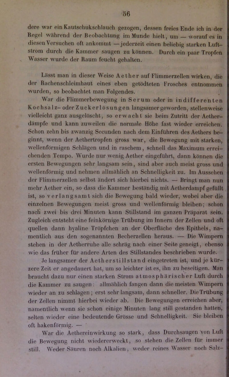 dere war ein Kautschukschlauch gezogen, dessen freies Ende ich in der Regel wilhrend der Beobachtung iin Munde liiell, um — worauf es in diesen Versuchen oft ankornint — jederzeit einen behellig starken Luft- slroin durch die Kammer saugen zu können. Durch ein paar Tropfen Wasser wurde der Raum feucht gehalten. Lfisst man in dieser Weise Aether auf Flimmerzellen wirken, die der Rachenschleimhaut eines eben getödtcten Frosches entnommen wurden, so beobachtet man Folgendes. War die Flimmerbewegung in Serum oder in indifferenten Kochsalz- oder Zuck er lösungen langsamer geworden, stellenweise vielleicht ganz ausgelöscht, so erwacht sie beim Zutritt der Aether- dämpfe und kann zuweilen die normale Höhe fast wieder erreichen. Schon zehn bis zwanzig Secunden nach dem Einfuhren des Aethers be- ginnt, w'enn der Aethertropfen gross war, die Bewegung mit starken, wellenförmigen Schlögen und in raschem, schnell das Maximum errei- chenden Tempo. Wurde nur wenig Aether eingefuhrt, dann können die ersten Rew'egungen sehr langsam sein, sind aber auch meist gross und w'cllenförmig und nehmen allmählich an Schnelligkeit zu. Im Aussehen der Flimmerzellen selbst ündert sich hierbei nichts. — Bringt man nun mehr Aether ein, so dass die Kammer beständig mit Aetherdampf gefüllt ist, so verlangsamt sich die Bewegung bald wieder, w'obei aber die einzelnen Bewegungen meist gross und wellenförmig bleiben; schon nach zwei bis drei Minuten kann Stillstand im ganzen Präparat sein. Zugleich entsteht eine feinkörnige Trübung im Innern der Zellen und oft quellen dann hyaline Tröpfchen an der Oberfläche des Epithels, na- mentlich aus den sogenannten Becherzellen heraus. — Die Wimpern stehen in der Aetherruhe alle schräg nach einer Seite geneigt, ebenso wie das früher für andere Arten des Stillstandes beschrieben wurde. .le langsamer der Aether still stand eingetreten ist, und je kür- zere Zeit er angedauert hat, um so leichter ist es, ihn zu beseitigen. Man braucht dazu nur einen starken Strom atmosphärischer Luft durch die Kammer zu saugen : allmählich fangen dann die meisten Wimpern wieder an zu schlagen; erst sehr langsam, dann schneller. Die Trübung der Zellen nimmt hierbei w ieder ab. Die Bewegungen erreichen aber, namentlich wenn sie schon einige Minuten lang still gestanden hatten, selten wieder eine bedeutende Grösse und Schnelligkeit. Sie bleiben oft hakenförmig. — War die Aethereinwirkung so stark, dass Durchsaugen von Luft die Bewegung nicht wiedererw'ockt, so stehen die Zellen für imn)er still. Weder Säuren noch Alkalien, wetler reines NVasser noch Salz-