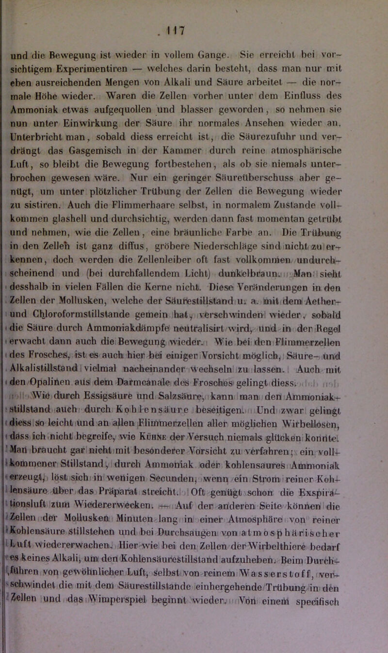 und die Be.vvegung ist wieder in vollem Gange. Sie erreicht bei vor- sichtigem Experimentiren — welches darin besteht, dass man nur mit eben ausreichenden Mengen von Alkali und Säure arbeitet — die nor- male Höhe wieder. Waren die Zellen vorher unter dem Einfluss des Ammoniak etwas aufgequollen und blasser geworden, so nehmen sie nun unter Einwirkung der Säure ihr normales Ansehen wieder an. Unterbricht man, sobald diess erreicht ist, die Säurezufuhr und ver- drängt das Gasgemisch in der Kammer durch reine atmosphärische Luft, so bleibt die Bewegung fortbestehen, als ob sie niemals unter- brochen gewesen wäre. Nur ein geringer Säureüberschuss aber ge- nügt, um unter plötzlicher Trübung der Zellen die Bewegung wieder zu sistiren. Auch die Flimmerhaare selbst, in normalem Zustande voll- kommen glashell und durchsichtig, werden dann fast momentan getrübt und nehmen, wie die Zellen, eine bräunliche Farbe an. Die Trübung in den Zellen ist ganz diffus, gröbere Niederschläge sindmicht zu er- kennen, doch werden die Zellenleiber oft fast vollkommen undurch- scheinend und (bei durchfallendem Licht] dunkelbraun.!!; Manüsieht I desshalb in vielen Fällen die Kerne nicht. Diese- Veränderungen in den . Zellen der Mollusken, w'elche der Säurestillstandiu. a. mit dem Aetheiv I und Cliloroforinstillstande gemein haty verschwinden; wieder, sobald I die Säure durch Ammoniakdämpfe neutralisirt wird, und in der Regel I erwacht dann auch dieiBewegung wieder^! Wie bei den FJimmcrzellen I des Frosches, ist es auch hier bei einiger Vorsicht möglich, Säure- lUnd . Alkalistillstand vielmal nacheinander wechseln zuilassen.. Auch mit (den Opalinen aus dem Darmcanale des Frosches gelingt diesst .ili.ji u',|: I Wie durch Essigsäure und Salzsäure,! i kann I man den Ammoniak- -stillstand auchi durch Koihlensäure beseitigen.);! Undi zwarl gelingt diesslso leichtiund an allen Flimmerzellen aller möglichen Wirbellosen, (dass ich.nicht begreife, wie Kühnk der Versuch niemals glückemkonritel 'Man braucht gar nichtimit besonderer-Vorsicht zu verfahren;, ein voll- Ikommenor Stillstand,- durcli Ammoniak oder kohlensauresl Ammoniak ^erzeugt, löst sichiin wenigen Secunden; wenn einiStromrreiner Koh- illensäuro über das Präparat streicht.l-jlOft genügt schon die Exspirä- itionsluft zum Wiedererwecken. rt+n.Auf der anderen Seite könnenidic ^Zellenoder Mollusken Minuten lang in einer Atmosphäre(von reiner I IKohlensäure Stillstehen und bei Durchsaugen-vomatmosphäri-seher ILufl wiedererwachen. Hier xvie bei den Zellen derWirbelthiere bedarf ^ es keines Alkali; um den Kohlensäurestillstandiaufzuhebenj Beim Durch- führen von gewöhnlicher Luft, selbst-von-^reinem Wasserstoff, ver- schwindet die mit dem Säure.stillstande einhergehende Trübung im den 'Zellen und das.Wimperspiel beginnt \vieder.m tVön einem specifisch