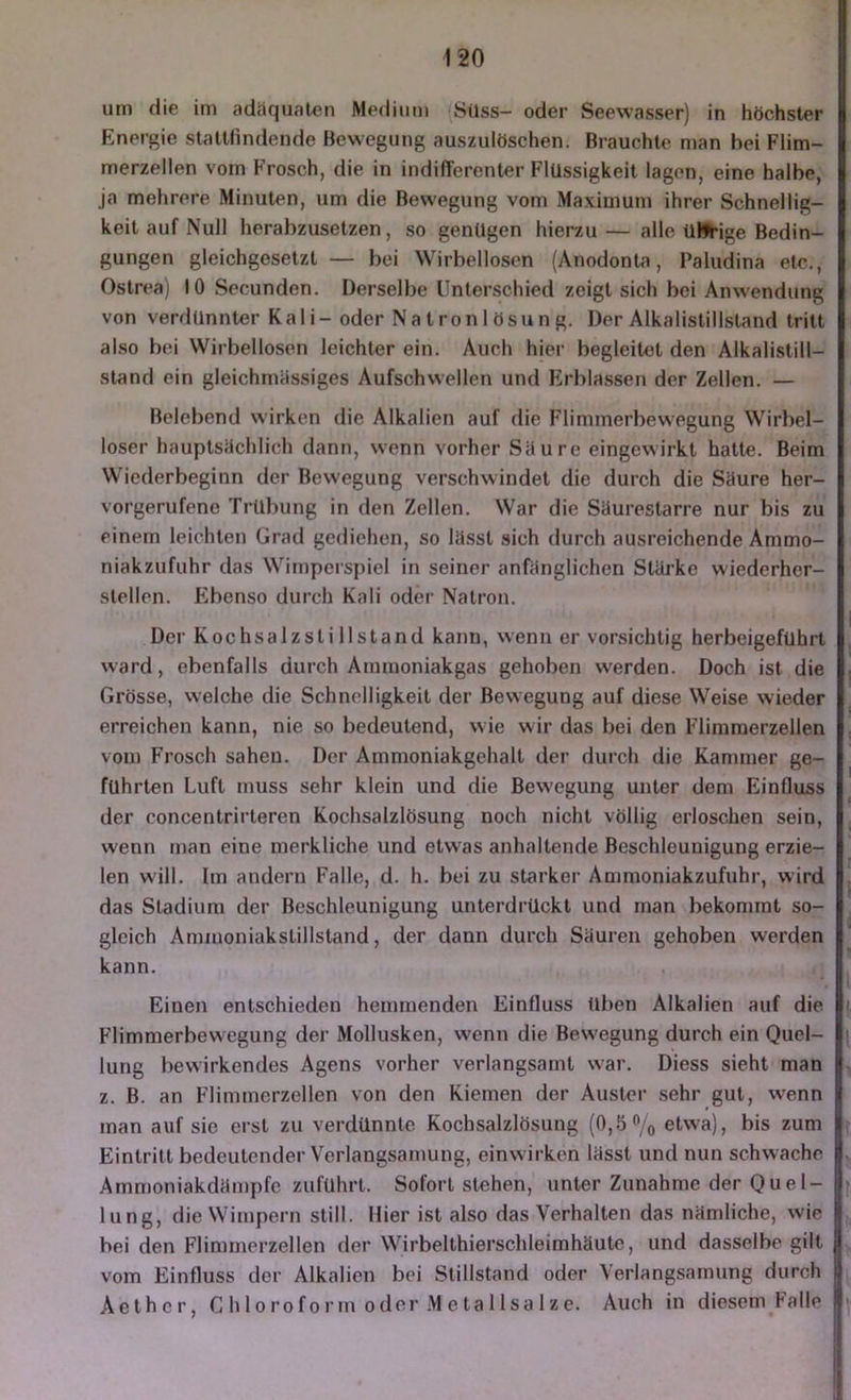 um die im adäquaten Medium Süss- oder Seewasser) in höchster Energie stattfindende Bewegung auszulöschen. Brauchte man bei Flim- merzellen vom Frosch, die in indifferenter Flüssigkeit lagen, eine halbe, ja mehrere Minuten, um die Bewegung vom Maximum ihrer Schnellig- keit auf Null herabzusetzen, so genügen hierzu — alle üWHge Bedin- gungen gleichgesetzt — bei Wirbellosen (Anodonta, Paludina etc., Ostrea) 10 Secunden. Derselbe Unterschied zeigt sich bei Anwendung von verdünnter Kali-oder Natronlösung. Der Alkalistillstand tritt also bei Wirbellosen leichter ein. Auch hier begleitet den Alkalistill- stand ein gleichmässiges Aufschwellen und Erblassen der Zellen. — Belebend wirken die Alkalien auf die Flimmerbewegung Wirbel- loser hauptsächlich dann, wenn vorher Säure eingewirkt hatte. Beim Wiederbeginn der Bewegung verschwindet die durch die Säure her- vorgerufene Trübung in den Zellen. War die Säurestarre nur bis zu einem leichten Grad gediehen, so lässt sich durch ausreichende Ammo- niakzufuhr das Win)pei spiel in seiner anfänglichen Stärke wiederher- stellen. Ebenso durch Kali oder Natron. Der Kochsalzstillstand kann, wenn er vorsichtig herbeigeführt ward, ebenfalls durch Ammoniakgas gehoben werden. Doch ist die Grösse, welche die Schnelligkeit der Bewegung auf diese Weise wieder erreichen kann, nie so bedeutend, wie wir das bei den Flimraerzellen vom Frosch sahen. Der Ammoniakgehalt der durch die Kammer ge- führten Luft muss sehr klein und die Bewegung unter dem Einfluss der concentrirteren Kochsalzlösung noch nicht völlig erloschen sein, wenn man eine merkliche und etwas anhaltende Beschleunigung erzie- len will. Im andern Falle, d. h. bei zu starker Ammoniakzufuhr, wird das Stadium der Beschleunigung unterdrückt und man bekommt so- gleich Ammoniakstillstand, der dann durch Säuren gehoben werden kann. Einen entschieden hemmenden Einfluss üben Alkalien auf die Flimmerbewegung der Mollusken, wenn die Bew'egung durch ein Quel- lung bewirkendes Agens vorher verlangsamt war. Diess sieht man z. B. an Flimmerzellen von den Kiemen der Auster sehr gut, wenn man auf sie erst zu verdünnte Kochsalzlösung (0,5 7o etw'a), bis zum Eintritt bedeutender Verlangsamung, einwirken lässt und nun schwache Ammoniakdämpfc zuführt. Sofort stehen, unter Zunahme der Que 1- lung, die Wimpern still. Hier i.st also das Verhalten das nämliche, wie bei den Flimmerzellen der Wirbelthierschleimhäutc, und dasselbe gilt vom Einfluss der Alkalien bei Stillstand oder Verlangsamung durch Aethcr, C h 10rof0rm 0der Meta 11 sa 1 ze. Auch in diesem Falle