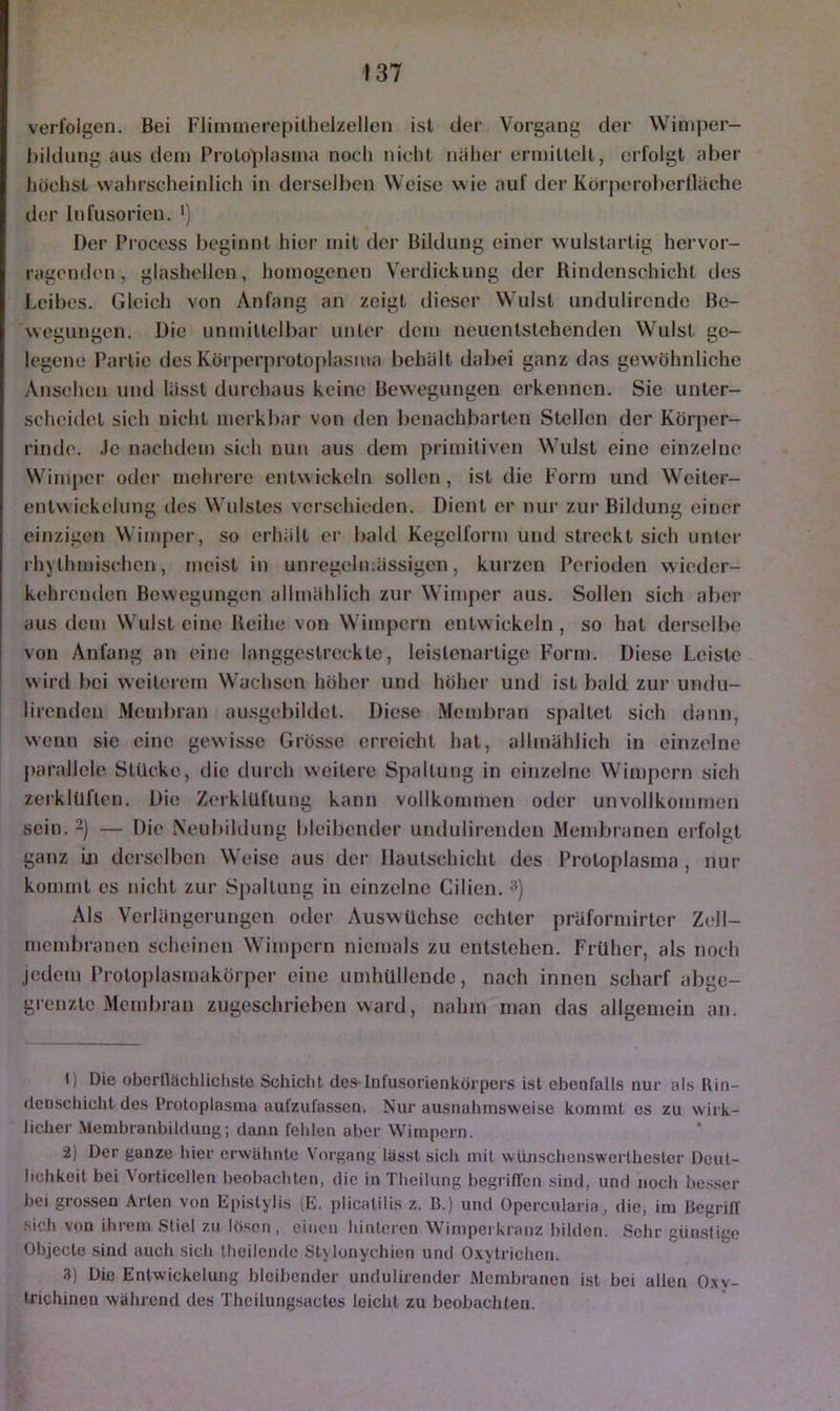 verfolgen. Bei Fliiimierepithelzellen ist der Vorgang der Winij)er- hildiing aus dein Protoplasma noch niclit nalier ermittelt, erfolgt aber höchst wahrscheinlich in derselben Weise w ie auf der Körperoberiläche der Infusorien. •) Der Process beginnt hier mit der Bildung einer wulstartig hervor- ragenden, glashellcn, homogenen Verdickung der Rindenschicht des Leibes. Gleich von Anfang an zeigt dieser Wulst undulircnde Be- wegungen. Die unmittelbar unter dem neuentstehenden Wulst ge- legene Partie des Körperprotoplasma behält dabei ganz das gew'öhnliche Ansehen und lässt durchaus keine Bewegungen erkennen. Sie unter- scheidet sich nicht merkbar von den benachbarten Stellen der Körper- rinde. Je nachdem sich nun aus dem primitiven Wulst eine einzelne Wimper oder mehrere entwickeln sollen, ist die Form und Weiter- entw ickclung des Wulstes verschieden. Dient er nur zur Bildung einer einzigen Wimper, so erhält er bald Kegciform und streckt sich unter rhythmischen, meist in unregelmässigen, kurzen Perioden wieder- kehrenden Bewegungen allmählich zur Wimper aus. Sollen sich aber aus dem Wulst eine Reihe von Wimpern entwickeln, so hat derselbe von Anfang an eine langgestreckte, leistenartige Form. Diese Leiste wird bei weiterem Wachsen höher und höher und ist bald zur undu- lirenden .Metnliran ausgebildct. Diese Membran spaltet sich dann, wenn sic eine gewisse Grösse erreicht hat, allmählich in einzelne parallele Stücke, die durch weitere Spaltung in einzelne Wimpern sich zerklüften. Die Zerklüftung kann vollkommen oder unvollkommen sein. 2) — Die Neubildung bleibender undulirenden Membranen eifolgt ganz Ln derselben Weise aus der llautschicht des Protoplasma , nur kommt cs nicht zur Spaltung in einzelne Cilien. Als Verlängerungen oder Auswüchse echter präformirter Zell- membranen scheinen Wimpern niemals zu entstehen. Früher, als noch jedem Protoplasmakörper eine umhüllende, nach innen scharf abge- grenzte Membran zugeschrieben ward, nahm man das allgemein an. 1) Die obcrllächlichsto Schicht des-Infusorienkörpcrs ist ebenfalls nur als Rin- denschicht des Protoplasma aufzufassen. Nur ausnahmsweise kommt es zu wirk- licher Membranbildung; dann fehlen aber Wimpern. 2) Der ganze hier erwähnte Vorgang lässt sich mit wünschenswcrlheslcr Deut- lichkeit bei Vorticellen beobachten, die in Theilung begrifTcn sind, und noch bes.scr bei grossen Arten von Epistylis (E. plicatilis z. B.) und Opercularia, die, im BcgrilT sich von ihrem Stiel zu Ifisoti, einen hinteren Wimperkranz bilden. Sohr günstige Objecte sind auch sich theilcnde Stylonychien und O.xytrichcn. 3) Die Entwickelung bleibender undulirender Membranen ist bei allen O.xv- trichinon während des Theilungsactes leicht zu beobachten.