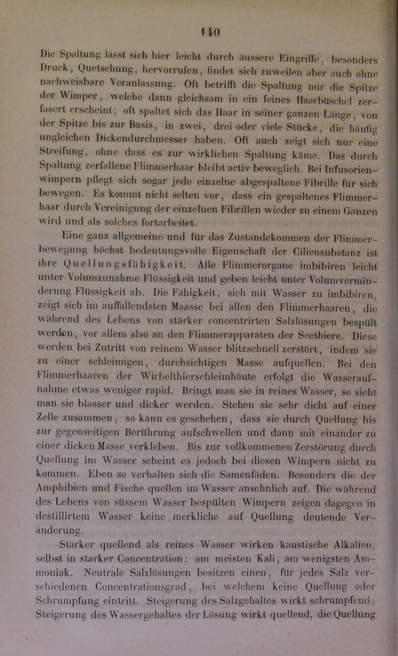 Die Spiillung lasst sich hier leicht durch äussere Kini'rill'e, hesondcrs Druck , nuctschung, hervorrufen, lindet sich zuweilen aber auch ohne nachweisbare Veranlassung. Oll betriin die Spaltung nur die Spitze der Wimper, welche dann gleichsam in ein feines Haarbüschel zer- fasert erscheint; olt spaltet sich das Haar in seiner ganzen Länge, von d(*r Spitze bis zur Basis, in zwei, drei oder viele Stücke, die häufig ungleichen Dickendurchmesser haben. Oft auch zeigt sich nur eine Streifung, ohne dass cs zur wirklichen Spaltung käme. Das durch Spaltung zerfallene Flimmerhaar bleibt activ beweglich. Bei Infusorien- vvimpern pflegt sich sogar jede einzelne abgcspaltcnc Fibrille für sich bewegen. Ls kommt nicht selten vor, dass ein gespaltenes Flimmer- haar durch Vereinigung der einzelnen Fibrillen wieder zu einem Ganzen wird und als solches fortarbcilet. hiinc ganz allgemeine und für das Zustandekommen der Flimmer- bewegung höchst bedeutungsvolle Fb'genschaft der Ciliensubsfanz ist ihre O u c 11 u n gsfä h igke i t. Allo Flimmerorgane imbibiren leichl unter Volumzunahrne Flüssigkeit und geben leicht unter Volumvcrmin- derung Flüssigkeit ab. Die Fähigkeit, sich mit Wasser zu imbibiren, zeigt sich im auflallendslen Maa.ssc bei allen den Flimmerhaaren, die während des Lebens von stärker conccntrirtcn Salzlösungen bespült werden, vor allem also an den Flimmerapparaten der Seethiere. Diese werden bei Zutritt von reinem Wasser blitzschnell zerstört, indem sie zu einer schleimigen, tlurchsichligcn Masse auhjucllcn. Bei den Mimmcrhaaren der Wirbcllhierschlcimhäutc erfolgt die Wasserauf- nahmo etwas weniger rapid. Bringt man sic in reines Wasser, .so sieht man sic blasser und dicker werden. Stehen sic sehr dicht auf einer Zelle zusammen , so kann es geschehen, dass sic diu'ch Ouellung bis zur gegcnsintigen Berührung aufschwcllcn und dann mit einander zu einer dicken Masse verklel>en. Bis zur vollkommenen Zerstörung durch Ouellung im Wasser scheint es jedoch bei diesen Wimpern nicht zu kommen. Eben so verhalten sich die Samenfäden. Besonders die dei’ Amphibien und Fische (jucllen im Wasser ansehnlich auf. Die während des Lebens von süssem Wasser bespülten Wimpern zeigen dagegen in deslillirlcm Wasser keine merkliche auf Quellung deutende Ver- änderung. Stärker quellend als reines Wasser wirken kaustische Alkalien, selbst in starker Concentralion: am meisten Kali, am w'enigsten Am- moniak. Neutrale Salzlösungen besitzen einen, für jedes Salz ver- schiedenen Concenfrationsgrad, bei welchem keine Quellung oder Schrumpfung eintrill. Steigerung des Salzgehaltes wirkt schrumpfend; Steigerung des Wassergehaltes der Lösung w irkt quellend, die Quellung