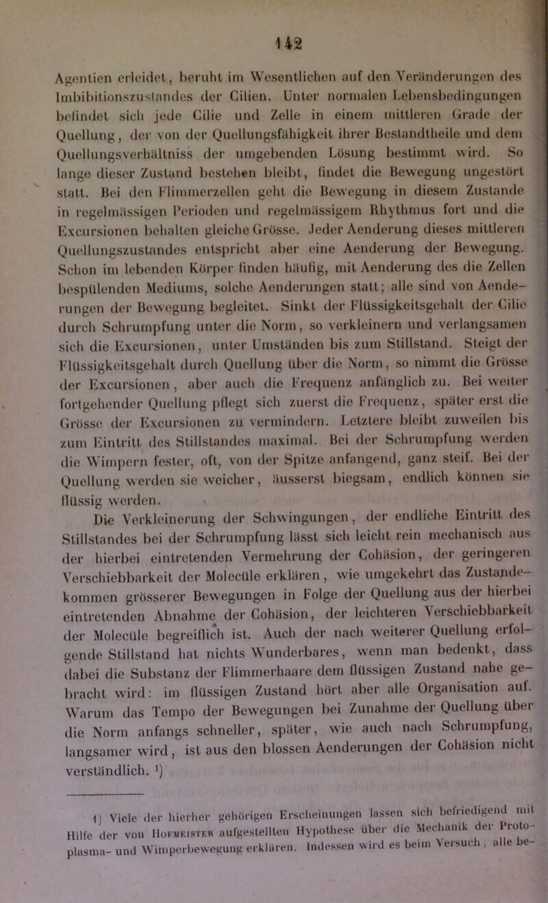 Agonlien erloidol, beruht im \Vesentlich(!n mif den Veriinderunijen des Irnbibilionszuslnmles der Cilien. Unter normalen Lebensl)edin£'ungen belindel sich jede Cilie und Zelle in einem mittleren (Irade der Quellung, der von der Quellungsfähigkeit ihrer Heslandlheile und dem Quellungsverhältniss der umgebenden Lösung bestimmt wird. So lange dieser Zustand bestehen bleibt, lindet die Bewegung ungestört statt. Bei den Flimmerzellen geht die Bewegung in diesem Zustande in regelmässigen Perioden und regelmässigem Rhythmus fort und die Excursionen behalten gleiche Grösse, .leder Aenderung dieses mittleren Quellungszustandes entspricht abei' eine Aenderung der Bewegung. Schon im lebenden Körper linden häulig, mit Aenderung des die Zellen bespülenden Mediums, solche Aenderungen statt; alle sind von Aende- rungen der Bewegung begleitet. Sinkt der FlUssigkeitsgehalt der Cilie durch Schrumpfung unU'r die Norm, so verkleinei-n und verlangsamen sich die Excursionen, unter Umständen bis zum Stillstand. Steigt der FlUssigkeitsgehalt durch Quellung über die Norm, so nimmt die Grös.se der Ivxcursionen , aber auch die Frequenz anfänglich zu. Bei weiter fortgehender QUiellung pflegt sich zuerst die Frecjuenz, später erst die Grösse der F^xcursionen zu vermindern. I.etzlere bleibt zuweilen bis zum l'untritt des Stillstandes maximal. Bei der Schrumpfung werden die Wimpern fester, oft, von der Spitze anfangend, ganz steif. Bei der Quellung werden sie weicher, äusser.st biegsam, endlich können sie flüssig werden. Die Verkleinerung der Schwingungen , der endliche Eintritt des Stillstandes bei der Schrumpfung lässt sich leicht rein mechanisch aus der hierbei eintretenden Vermehrung der Cohäsion, der geiingeien Verschiebbarkeit der Molecüle erklären, wie umgekehrt das Zustande- kommen grösserer Bewegungen in Folge der Quellung aus dei hieibei einti’etcnden Abnahme der Cohäsion, der leichteren \erschiebbaikeit der Molecüle begreiflich ist. Auch der nach weiterer Quellung eilei- gende Stillstand hat nichts Wunderbares, wenn man bedenkt, dass dabei die Substanz der Flimmerhaare dem flüssigen Zustand nahe ge- bracht wird: im flüssigen Zustand hört aber alle Organisation auf. Warum das Temi)o der Bewegungen bei Zunahme der Quellung über die Norm anfangs schneller, später, wie auch nach Schrumptung, langsamer wird, ist aus den blossen Aenderungen der Cohäsion nicht verständlich. ') 1) Viele der lücrher geliörigen ErscI.einuugen lassen sich befiieilige.ul mit Hilfe der von Hokmeisteh aufgeslelllcn Hypothese über die .Mechanik dei Plasma- und Wimpei bcNVOgung erklären. Indessen NNird es beim Versuch , alle be-
