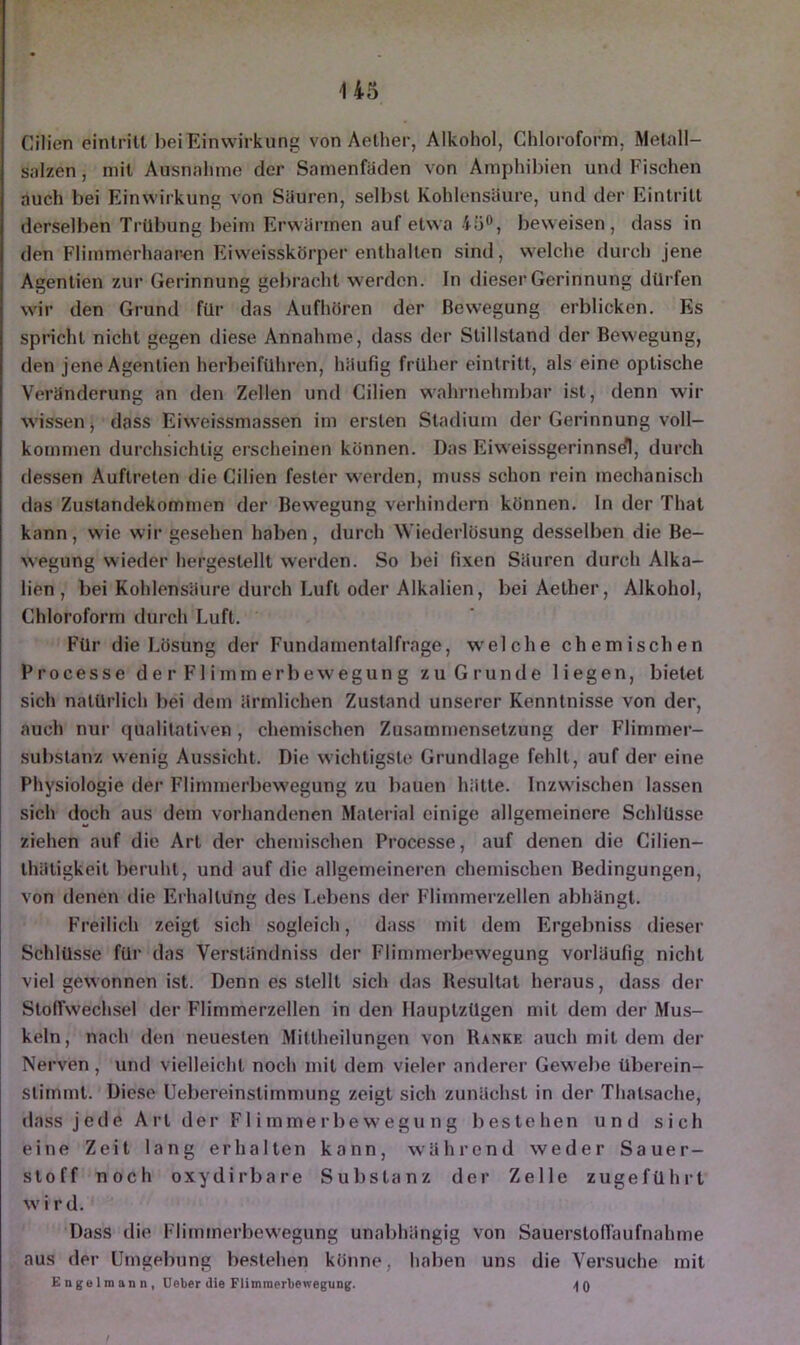 U5 Cilien einlrill bei Einwirkung von Aelher, Alkohol, Chloroform, Metall- salzen, mit Ausnahme der Samenfäden von Amphibien und Fischen auch bei Einwirkung von Säuren, selbst Kohlensäure, und der Eintritt derselben Trübung beim Erwärmen auf etwa 4ö®, beweisen, dass in den Flimmerhaar'en Eiweisskörper enthalten sind, welche durch jene Agentien zur Gerinnung gebracht werden. In dieser Gerinnung dürfen wir den Grund für das Aufhören der Bewegung erblicken. Es spricht nicht gegen diese Annahme, dass der Stillstand der Bewegung, den Jene Agentien herbeiführen, häufig früher einlritt, als eine optische Veränderung an den Zellen und Cilien wahrnehmbar ist, denn wir wissen ■, dass Eiweissmassen im ersten Stadium der Gerinnung voll- kommen durchsichtig erscheinen können. Das Eiweissgerinnsdl, durch dessen Auftreten die Cilien fester werden, muss schon rein mechanisch das Zustandekommen der Bewegung verhindern können. In der That kann, wie wir gesehen haben, durch Wiederlösung desselben die Be- wegung wieder hergestellt w'erden. So bei fixen Säuren durch Alka- lien, bei Kohlensäure durch Luft oder Alkalien, bei Aether, Alkohol, Chloroform durch Luft. Für die Lösung der Fundamentalfrage, w'elche chemischen Processe derFlimmerbewegung zu Grunde liegen, bietet sich natürlich bei dem ärmlichen Zustand unserer Kenntnisse von der, auch nur qualitativen, chemischen Zusammensetzung der Flimmer- sul)stanz wenig Aussicht. Die wichtigste Grundlage fehlt, auf der eine Physiologie der Flimmerbew'egung zu bauen hätte. Inzwischen lassen sich doch aus dem vorhandenen Material einige allgemeinere Schlüsse ziehen auf die Art der chemischen Processe, auf denen die Cilien- Ihätigkeit beruht, und auf die allgemeineren chemischen Bedingungen, von denen die Erhaltdng des Lebens der Flimmerzellen abhängt. Freilich zeigt sich sogleich, dass mit dem Ergebniss dieser Schlüsse für das Verständniss der Flimmerbewegung vorläufig nicht viel gewonnen ist. Denn es stellt sich das Resultat heraus, dass der Sto(Twech.sel der Flimmerzellen in den Ilauptzügen mit dem der Mus- keln, nach den neuesten Mittheilungen von Rankk auch mit dem der Nerven, und vielleicht noch mit dem vieler anderer Gew^ebe überein- stimmt. Diese Uebereinstimmung zeigt sich zunächst in der Thatsache, dass jede Art der Fl i mme rbe egu n g bestehen und sich eine Zeit lang erhalten kann, während weder Sauer- stoff noch oxydirbare Substanz der Zelle zugeführt w'i rd. Dass die Flimmerbewegung unabhängig von Sauerslofiaufnahme aus der Umgebung bestehen könne, haben uns die Versuche mit Engelmann, Ueber die Flimmerbewegung. q t