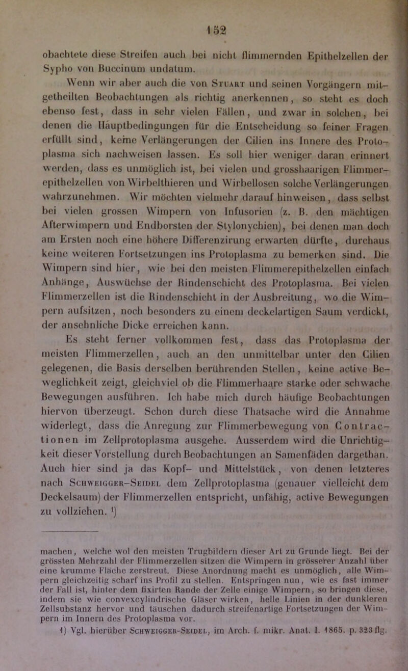 obachlete diese Streileu aucli bei niclit niminernden Epilhelzellen der Syplio von Huccinum undaliim. Wenn wir aber auch die von Stcaut und seinen VorgUngern niit- gelhcillen Bcol)achlungen als riclilig anerkennen, so slehl es doch ebenso fest, dass in sehr vielen Fällen, und zwar in solchen, l)ei denen die lläuplbcdingungen für die Kntseheidung so feiner Fragen erfüllt sind, kerne Verlängerungen der Cilien ins Innere des Proto- plasma sich uaehweisen lassen. Es soll hier weniger daran erinnert werden, dass es uninöglich ist, l>ei vielen und grosshaaiigen Flimnier- epilhelzellen von Wirbelthiercn und Wirbellosen solche Verlängerungen wahrzunehinen. Wir möchten vielmehr darauf hinweisen , dass selbst l)ei vielen grossen Wimpern von Infusorien (z. B. den mächtigen Afterwimpern und Endborsten der Stylonychien), bei denen man doch am Fürsten noch eine höhere Dillerenzirung erwarten dürfte, durchaus keine weiteren Fortsetzungen ins Protoplasma zu bemerken sind. Die Wimpern sind hier, wie bt'i den meisten Flimmercpithelzellcn einfach Anhänge, Auswüchse der Bindenschicht des Protoplasma. Bei vielen Flimmerzellen ist die Bindenschicht in der Ausbreitung, wo die Wim- pern aufsitzen, noch besonders zu einem deckelartigen Saum verdickt, der ansehnliche Dicke erreichen kann. Es steht ferner vollkommen fest, dass das Protoplasma der meisten Flimmerzellcn, auch an den unmittelbar unter den Cilien gelegenen, die Basis derselben berührenden SUillcn , keine active Be- weglichkeit zeigt, gleichviel ob die Flimmerhaare starke oder schwache Bewegungen ausführen. Ich habe mich durch häulige Beobachtungen hiervon überzeugt. Schon durch diese Thatsachc wird die Annahme widerlegt, dass die Anregung zur Flimmerbewegung von Contrac- tionen im Zcllproloplasma ausgehc. Ausserdem wird die Unrichtig- keit dieser Vorstellung flurch Beobachtungen an Samenfäden dargethan. Auch hier sind ja das Kopf- und Mitlclstück, von denen letzteres nach SciiwKifiGEii-SEmKL dem Zellprotoplasma (genauer vielleicht dem Deckelsaum) der Flimmerzellen entspricht, unfähig, active Bewegungen zu vollzielien. ') machen, welche wol den meisten Truphildcni dieser Art zu Grunde liegt. Bei der grössten Melirzahl der Flimmerzellen sitzen die Wimpern in grösserer Anzahl über eine krumme Fläche zerstreut. Diese Anordnung maclil es unmöglich, alle Wim- pern gleichzeitig scharf ins Profil zu stellen. Entspringen nun, wie cs fast immer der Fall ist, hinter dem lixirten Rande der Zelle einige Wimpern, so bringen diese, indem sie wie convexcylindri.sche Gläser wirken, helle Linien in der dunkleren Zellsubstanz hervor und täuschen dadurch streifenartigo Fortsetzungen der Wim- pern im Innern des Protoplasma vor. 1) Vgl. hierüber öchweigger-Seidel, im Arch. f. mikr. Anat. 1. 1865. p. 323 11g.