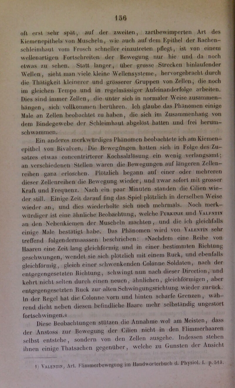 oft erst selir S[>ät, auf der zweiten, zartbewimperten Art des Kiemenopilhels von Muscbeln, wie aueh auf dem Ei)ilhel der Rachen- scldeimhaut vom Fiosch schneller einzutreten pflegt, ist von einem wellenartigen Fortsehreilen der Bewegung nur liie und da noch etwas zu sehen. Statt langer, über grosse Strecken hinlaufender Wellen, sieht man viele kleine Wellcnsysteme, hervorgebracht durch die Thäligkcit kleinerer und grösserer Gruppen von Zellen, die noch im gleichen Tempo und in regelmässiger Aufeinanderfolge arbeiten. Dies sind immer Zellen, die unter sich in normaler Weise Zusammen- hängen , sich vollkommen berühren. Ich glaube das Phänomen einige Male an Zellen beobachtet zu haJ)cn, die sich im Zusammenhang von dem Bindegewebe dei‘ Schleimhaut abgelöst halten und frei herum- schwammen. Ein anderes merkwürdiges Phänomen beobachtete ich am Kiemen- epithel von Bivalvcn. Die Bewegungen hatten sich in Folge des Zu- satzes etwas concenlrirterer Kochsalzlösung ein wenig verlangsamt; an vei'schiedenen Stellen waren die Bewegungen auf längeren Zellen— reihen ganz erloschen. Plötzlich begann auf einer oder mehreren dieser Zellenreihen die Bewegung wieder, und zwar sofort mit grosser Kraft und Freciuenz. N'ach ein paar Minuten standen die Cilien wie- der still. Einige Zeit darauf fing das Spiel plötzlich in denselben Weise wieder an, und dies wiederholte sich noch mehrmals, ^och meik— würdiger ist eine ähnliche Beobachtung, welche Purjunjk und Vai-fntim an den Nebenkiemen der Muscheln machten, und die ich gleichfalls eiidge Male bestätigt habe. Das Phänomen wird von Valkmin selu- Irefleml folgendcrmaasscn beschrieben: »Nachdem eine Reihe von Maaren eine'Zeit lang gleichförmig und in einer bestimmten Richtung geschwungen, wendet sie sich plötzlich mit einem Ruck, und ebenfalls gleichförmig, gleich einer schwenkenden Golonne Soldaten, nach der entgegengesetzten Richtung, schwingt nun nach dieser Dircclion, und kehrt nicht seilen durch einen neuen, ähnlichen, gleichförmigen, aber entgegengesetzten Ruck zur alten Schwingungsrichtung w ieder zurück, ln der Regel hat die Colonnc vorn und hinten scharfe Grenzen , wäh- rend dicht neben diesen befindliche Maare mehr selbständig ungestört fortschwingen.« Diese Beobachtungen stützen die Annahme wol am Meisten, dass der Ansloss zur Bewegung der Cilien nicht in den Himmerhaaren selbst entstehe, sondern von den Zellen ausgchc. Indessen stehen ihnen einige Thalsachen gegenüber, welche zu Gunsten der Ansicht VAI.BSTIS, Alt. I limmerbcwegung im llaiKtwortcrbucli cl. Pl.ysiol. 1. p.513.