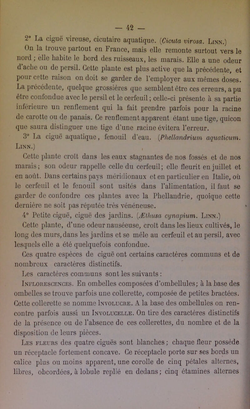 2 La ciguë vireuse, cicutairc aquatique. (Cicuta virosa. Linn.) On la Irouve partout en France, mais elle remonte surtout vers le nord ; elle habite le bord des ruisseaux, les marais. Elle a une odeur d ache ou de persil. Cette plante est plus active que la précédente, et pour cette raison on doit se garder de l’employer aux mêmes doses. La précédente, quelque grossières que semblent être ces erreurs, a pu être coniondue avec le persil et le cerfeuil ; celle-ci présente à sa partie inférieure un renflement qui la fait prendre parfois pour la racine de carotte ou de panais. Ce renflement apparent étant une tige, quicon que saura distinguer une tige d’une racine évitera l’erreur. 3° La ciguë aquatique, fenouil d’eau. (Phellandrium aquciticum. Linn.) Cette plante croît dans les eaux stagnantes de nos fossés et de nos marais; son odeur rappelle celle du cerfeuil; elle fleurit en juillet et en août. Dans certains pays méridionaux et en particulier en Italie, où le cerfeuil et le fenouil sont usités dans l’alimentation, il faut se garder de confondre ces plantes avec la Phellandrie, quoique cette dernière ne soit pas réputée très vénéneuse. 4° Petite ciguë, ciguë des jardins. (.Æthusa cxjnapium. Linn.) Cette plante, d’une odeur nauséeuse, croît dans les lieux cultivés, le long des murs, dans les jardins et se mêle au cerfeuil et au persil, avec lesquels elle a été quelquefois confondue. Ces quatre espèces de ciguë ont certains caractères communs et de nombreux caractères distinctifs. Les caractères communs sont les suivants : Inflorescences. En ombelles composées d’ombellules; à la base des ombelles se trouve parfois une collerette, composée de petites bractées. Cette collerette se nomme Involucre. A la base des ombellules on ren- contre parfois aussi un Involucelle. On tire des caractères distinctifs de la présence ou de l’absence de ces collerettes, du nombre et de la disposition de leurs pièces. Les fleurs des quatre ciguës sont blanches ; chaque fleur possède un réceptacle fortement concave. Ce réceptacle porte sur ses bords un calice plus ou moins apparent, une corolle de cinq pétales alternes, libres, obeordées, à lobule replié en dedans ; cinq étamines alternes