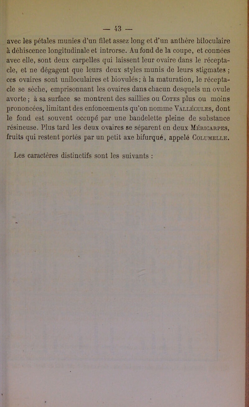 avec les pétales munies d’un filet assez long et d’un anthère biloculaire à déhiscence longitudinale et introrse. Au fond de la coupe, et connées avec elle, sont deux carpelles qui laissent leur ovaire dans le récepta- cle, et ne dégagent que leurs deux styles munis de leurs stigmates ; ces ovaires sont uniloculaires et biovulés; à la maturation, le récepta- cle se sèche, emprisonnant les ovaires dans chacun desquels un ovule avorte ; à sa surface se montrent des saillies ou Cotes plus ou moins prononcées, limitant des enfoncements qu’on nomme Vallécules, dont le fond est souvent occupé par une bandelette pleine de substance résineuse. Plus tard les deux ovaires se séparent en deux Méricarpes, fruits qui restent portés par un petit axe bifurqué, appelé Columelle. Les caractères distinctifs sont les suivants : »