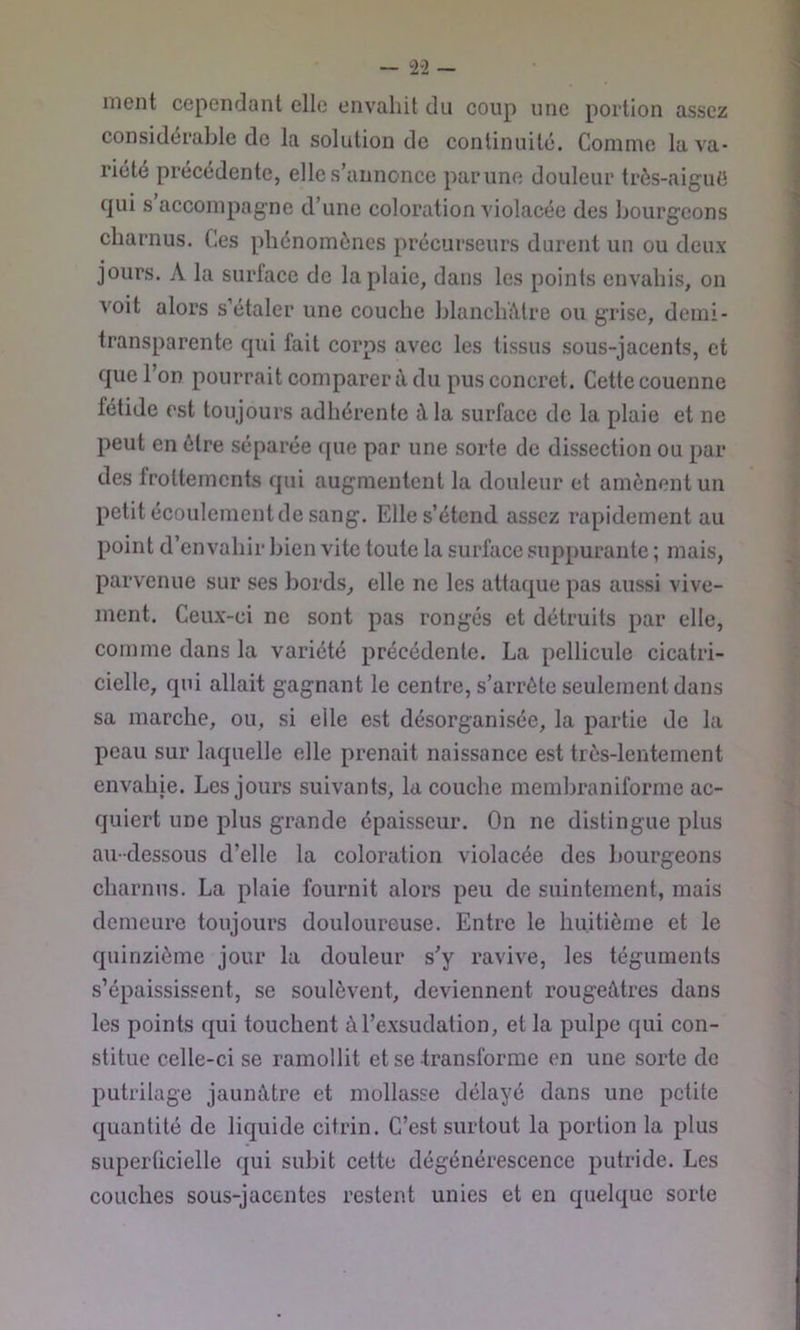 ment cependant elle envahit du coup une portion assez considérable de la solution de eontinuité. Comme la va- riété précédente, elle s’annonce parune douleur très-aiguë cjui s accompagne d’une coloration violacée des bourgeons charnus. Ces phénomènes précurseurs durent un ou deux jours. A la surface de la plaie, dans les points envahis, on voit alors s’étaler une couche blanchâtre ou grise, demi- transparente qui fait corps avec les tissus sous-jacents, et que l’on pourrait comparer à du pus concret. Cette couenne fetide est toujours adhérente à la surface de la plaie et ne peut en être séparée que par une sorte de dissection ou par des frottements qui augmentent la douleur et amènent un petit écoulementde sang. Elle s’étend assez rapidement au point d’envahir bien vite toute la surface suppurante ; mais, parvenue sur ses bords, elle ne les attaque pas aussi vive- ment. Ceux-ci ne sont pas rongés et détruits par elle, comme dans la variété précédente. La pellicule cicatri- cielle, qui allait gagnant le centre, s’arrête seulement dans sa marche, ou, si elle est désorganisée, la partie de la peau sur laquelle elle prenait naissance est très-lentement envahie. Les jours suivants, la couche memhraniforme ac- quiert une plus grande épaisseur. On ne distingue plus au-dessous d’elle la coloration violacée des bourgeons charnus. La plaie fournit alors peu de suintement, mais demeure toujours douloureuse. Entre le huitième et le quinzième jour la douleur s’y ravive, les téguments s’épaississent, se soulèvent, deviennent rougeâtres dans les points qui touchent à l’exsudation, et la pulpe qui con- stitue celle-ci se ramollit et se transforme en une sorte de putrilage jaunâtre et mollasse délayé dans une petite quantité de liquide citrin. C’est surtout la portion la plus superücielle qui subit cette dégénérescence putride. Les eouches sous-jacentes restent unies et en quelque sorte