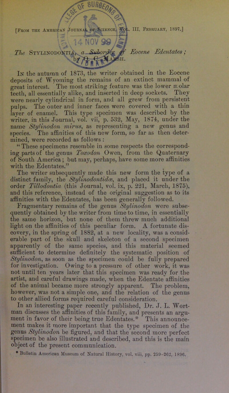 The Stylinod [From the Amerk Ill, February, 1897.J Eocene Edentates; In the autumn of 1873, the writer obtained in the Eocene deposits of Wyoming the remains of an extinct mammal of great interest. The most striking feature was the lower n.olar teeth, all essentially alike, and inserted in deep sockets. They were nearly cylindrical in form, and all grew from persistent pulps. The outer and inner faces were covered with a thin layer of enamel. This type specimen was described by the writer, in this Journal, vol. vii, p. 532, May, 1874, under the name Stylinodon mirus, as representing a new genus and species. The affinities of this new form, so far as then deter- mined, were recorded as follows : “ These specimens resemble in some respects the correspond- ing parts of the genus Toxodon Owen, from the Quaternary of South America; but maj'^, perhaps, have some more affinities with the Edentates.” The writer subsequently made this new form the type of a distinct family, the SUjlinodontidue^ and placed it under the order Tillodontia (this Journal, vol. ix, p. 221, March, 1875), and this reference, instead of the original suggestion as to its affinities with the Edentates, has been generally followed. Fragmentary remains of the genus Stylinodon were subse- quently obtained by the writer from time to time, in essentially the same horizon, but none of them threw much additional light on the affinities of this peculiar form. A fortunate dis- covery, in the spring of 1882, at a new locality, was a consid- erable part of the skull and skeleton of a second specimen apparently of the same species, and this material seemed sufficient to determine definitely the systematic position of Stylinodon, as soon as the specimen could be fully prepared for investigation. Owing to a pressure of other work, it was not until ten years later that this specimen was ready for the artist, and careful drawings made, when the Edentate affinities of the animal became more strongly apparent. The problem, however, was not a simple one, and the relation of the genus to other allied forms required careful consideration. In an interesting paper recently published. Dr. J. L. Wort- man discusses the affinities of this family, and presents an argu- ment in favor of their being true Edentates.* This announce- ment makes it more important that the type specimen of the genus Stylinodon be figured, and that the second more perfect specimen be also illustrated and described, and this is the main object of the present communication. * Bulletin American Museum of Natural History, vol. viii, pp. 259-262, 1896.