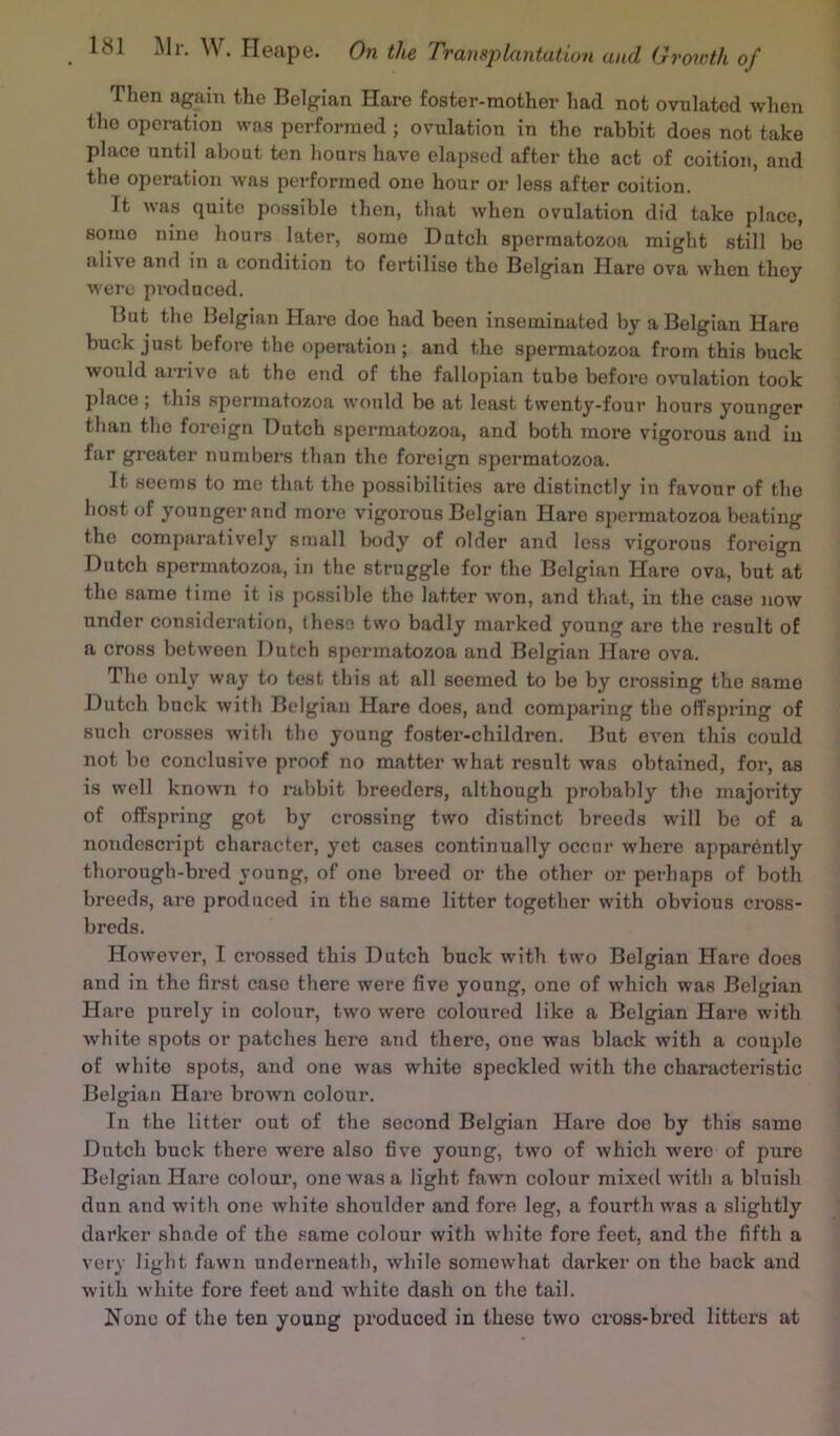 Then again the Belgian Hare foster-mother had not ovulated when the operation was performed ; ovulation in the rabbit does not take place until about ten hours have elapsed after the act of coition, and the operation was performed one hour or less after coition. It was quite possible then, that when ovulation did take place, some nine hours later, some Dutch spermatozoa might still be alive and in a condition to fertilise the Belgian Hare ova when they were produced. But the Belgian Haro doe had been inseminated by a Belgian Hare buck ju.st before the operation ; and the spermatozoa from this buck would arrive at the end of the fallopian tube before ovulation took place; this spermatozoa would be at least twenty-four hours younger than the foreign Dutch spermatozoa, and both more vigorous and iu far greater numbers than the foreign spermatozoa. It seems to me that the possibilities are distinctly in favour of the host of younger and more vigorous Belgian Hare spermatozoa beating the comparatively small body of older and less vigorous foreign Dutch spermatozoa, in the struggle for the Belgian Hare ova, but at the same time it is possible the latter won, and that, in the case now under con.sideration, (he.ss two badly marked young are the result of a cross between Dutch spermatozoa and Belgian Hare ova. The only way to test this at all seemed to be by crossing the same Dutch buck with Belgian Hare does, and comparing the offspring of such crosses with the young foster-children. But even this could not bo conclusive proof no matter what result was obtained, for, as is well known to rabbit breeders, although probably the majority of offspring got by crossing two distinct breeds will be of a nondescript character, yet cases continually occur where apparently thorough-bred young, of one breed or the other or perhaps of both breeds, are produced in the same litter together with obvious cross- breds. However, I crossed this Dutch buck with two Belgian Hare does and in the first case there were five young, one of which was Belgian Hare purely in colour, two were coloured like a Belgian Hare with white spots or patches here and there, one was black with a couple of white spots, and one was white speckled with the characteristic Belgian Hare brown colour. In the litter out of the second Belgian Hare doe by this same Dutch buck there were also five young, tw'o of which were of pure Belgian Hare colour, one was a light fawn colour mixed with a bluish dun and with one white shoulder and fore leg, a fourth was a slightly darker shade of the same colour with white fore feet, and the fifth a very light fawn underneath, while somewhat darker on the back and with white fore feet and white dash on the tail. None of the ten young produced in these two cross-bred litters at