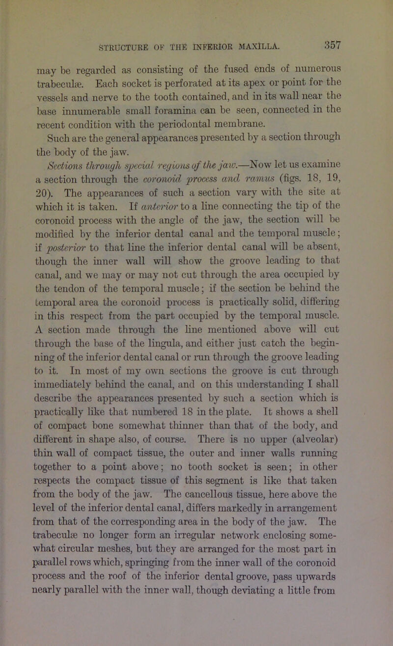 may be regarded as consisting of the fused ends of numerous trabeculce. Each socket is perforated at its apex or point for the vessels and nerve to the tooth contained, and in its wall near the base innumerable small foramina can be seen, connected in the recent condition with the periodontal membrane. Such are the general appearances presented by a section through the body of the jaw. Sections through special regions of the jaw.—Now let us examine a section through the coronoid. process and ramus (figs. 18, 19, 20). The appearances of such a section vary with the site at which it is taken. If anterior to a line connecting the tip of the coronoid process with the angle of the jaw, the section will be modified by the inferior dental canal and the temporal muscle; if postcrim' to that line the inferior dental canal will be absent, though the inner wall will show the groove leading to that canal, and we may or may not cut through the area occupied by the tendon of the temporal muscle; if the section be behind the temporal area the coronoid process is practically solid, differing in this respect from the part occupied by the temporal muscle. A section made through the line mentioned above will cut through the base of the lingula, and either just catch the begin- ning of the inferior dental canal or run through the groove leading to it. In most of my own sections the groove is cut through immediately behind the canal, and on this understanding I shall describe the appearances presented by such a section which is practically like that numbered 18 in the plate. It shows a shell of compact bone somewhat thinner than that of the body, and different in shape also, of coimse. There is no upper (alveolar) thin wall of compact tissue, the outer and inner walls running together to a point above; no tooth socket is seen; in other respects the compact tissue of this segment is like that taken from the body of the jaw. The cancellous tissue, here above the level of the inferior dental canal, differs markedly in arrangement from that of the corresponding area in the body of the jaw. The trabeculse no longer form an irregular network enclosing some- what circular meshes, but they are arranged for the most part in parallel rows which, springing from the inner wall of the coronoid process and the roof of the inferior dental groove, pass upwards nearly parallel with the inner wall, though deviating a little from