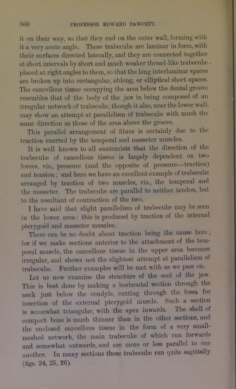 it on their way, so tliat tliey end on the outer wall, forming with it a very acute angle. These trabeculae are laminar in form, with their surfaces directed laterally, and they are connected together at short intciwals hy short and much weaker thread-like trabecula- - placed at right angles to them, so that the long interlaminar spaces are broken up into rectangular, oblong, or elliptical short spaces. The ciincellous tissue occupying the area below the dental groove resembles that of the body of the jaw in being composed of an irregular network of trabecula;, though it also, near the lower wall, may show an attempt at parallelism of trabecula with much the same direction as those of the area above the groove. This parallel arrangement of fibres is certainly due to tin; traction exerted by the temporal and masseter muscles. It is well known to all anatomists that the direction of the trabecula of cancellous tissue is largely dependent on two forces, viz., pressure (and the opposite of pressure—traction) and tension ; and here we have an excellent example of trabecula arranged by traction of two muscles, viz., the temporal and the masseter. The trabecuhe are parallel to neither tendon, but to the resultant of contraction of the two. I have said that slight parallelism of trabecula may be seen in the lower area: this is produced by traction of the internal pterygoid and masseter muscles. There can be no doubt about traction being the ctiusc here, for if we make sections anterior to the attachment of the tem- poral muscle, the cancellous tissue in the iipper area becomes irregular, and shows not the slightest attempt at parallelism of trabecula. Further examples will be met with as we pass on. Let us now examine the structure of the neck of the jaw. This is best done by making a horizontal section through the neck just below the condyle, cutting through the fossa for insertion of the external pterygoid muscle. Such a section is somewhat triangular, with the apex inwards. The shell of compact bone is much thinner than in the other sections, and the enclosed cancellous tissue in the form of a very small- meshed network, the main trabecula of which run forwards and somewhat outwards, and are more or less parallel to one another. In many sections these trabecula run quite sagittally (figs. 24, 26, 26).