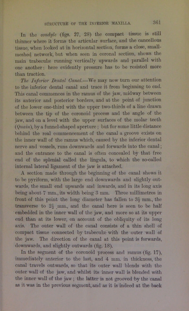 In the condyle (figs. 27, 28) the compact tissue is still thinner where it forms the articular surface, and the cancellous tissue, when looked at in horizontal section, forms a close, small- meshed network, but when seen in coronal section, shows the main trabeculae running vertically upwards and parallel with one another: here evidently pressure has to be resisted more than traction. The InferioT Dental Canal.—We may now turn our attention to the inferior dental canal and trace it from beginning to end. This canal commences in the ramus of the jaw, midway between its anterior and posterior borders, and at the point of jimction of the lower one-third with the upper two-thirds of a line drawn between the tip of the coronoid process and the angle of the jaw, and on a level with the upper surfaces of the molar teeth {Quain), by a funnel-shaped aperture ; but for some little distance beliind the real commencement of the canal a groove exists on the iimer wall of the ramus which, caused by the inferior dental nerve and vessels, rims downwards and forwards into the canal; and the entrance to the canal is often concealed by that free end of the splenial called the lingula, to which the so-called internal lateral ligament of the jaw is attached. A section made through the Ijeginning of the canal shows it to be pyriform, with the large end downwards and slightly out- wards, the small end upwards and inwards, and in its long axis being about 7 mm., its width being 3 mm. Three millimetres in front of this point the long diameter has fallen to 3i mm., the transverse to 2| _mm., and the canal here is seen to be half embedded in the inner wall of the jaw, and more so at its upper end than at its lower, on account of the obliquity of its long axis. The outer wall of the canal consists of a thin shell of compact tissue connected by trabeculre with the outer wall of the jaw. The direction of the canal at this point is forwards, downwards, and slightly outwards (fig. 18). In the segment of the coronoid process and ramus (fig. 17), immediately anterior to the last, and 4 mm. in thickness, the canal travels outwards, so that its outer waU blends with the outer wall of the jaw, and whilst its inner wall is blended with the inner wall of the jaw; the latter is not grooved by the canal as it was in the previous segment, and as it is indeed at the back