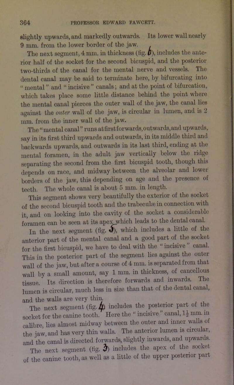 slightly upwards, and markedly outwards. Its lower wall nearly 9 mm. from tlie lower border of the jaw. The next segment, 4 mm. in thickness (fig. 0), includes the ante- rior half of the socket for the second bicuspid, and the posterior two-thirds of the canal for the mental nerve and vessels. The dental canal may be said to terminate here, by bifurcating into “ mental ” and “ incisive ” canals; and at the point of bifurcation, which takes place some little distance behind the point where the mental canal pierces the outer wall of the jaw, the canal lies against the ovter wall of the jaw, is circular in lumen, and is 2 mm. from the inner wall of the jaw. The “mental canal” runs at first forwards, outwards, and upwards, say in its first third upwards and outwards, in its middle third and backwards upwards, and outwards in its last third, ending at the mental foramen, in the adult jaw vertically below the ridge separating the second from the first bicuspid tooth, though this depends on race, and midway between tlie alveolar and lower borders of the jaw, this depending on age and the presence of teeth. The whole canal is about 5 mm. in length. This segment shows very beautifully the exterior of the socket of the second bicuspid tooth and the trabeculsein connection with it, and on looking into the cavity of the socket a considerable foramen can be seen at its ape^which leads to the dental canal. In tlie next segment (fig. «), which includes a little of the anterior part of the mental canal and a good part of the socket for the first bicuspid, we have to deal with the “ incisive canal. This in the posterior part of the segment lies against the outer wall of tlie jaw, but after a course of 4 mm. is separated from that wall by a small amount, say 1 mm. in thickness, of cancellous tissue. Its direction is therefore forwards and inwards. The Inmen is circular, much less in size tlian that of the dental canal, and the walls are very thin. The next segment (fig. ^ includes tlie posterior part of the socket for the canine tooth. Here the “ incisive ’ canal, mm. in calibre, lies almost midway between the outer and inner walls of the jaw, and has very thin walls. The anterior lumen is circular, and the canal is directed forwards, slightly inwards, and upwards. The next segment (fig. 5) includes the apex of tlie socket uf the canine tooth, as well as a little of the npper posterior part