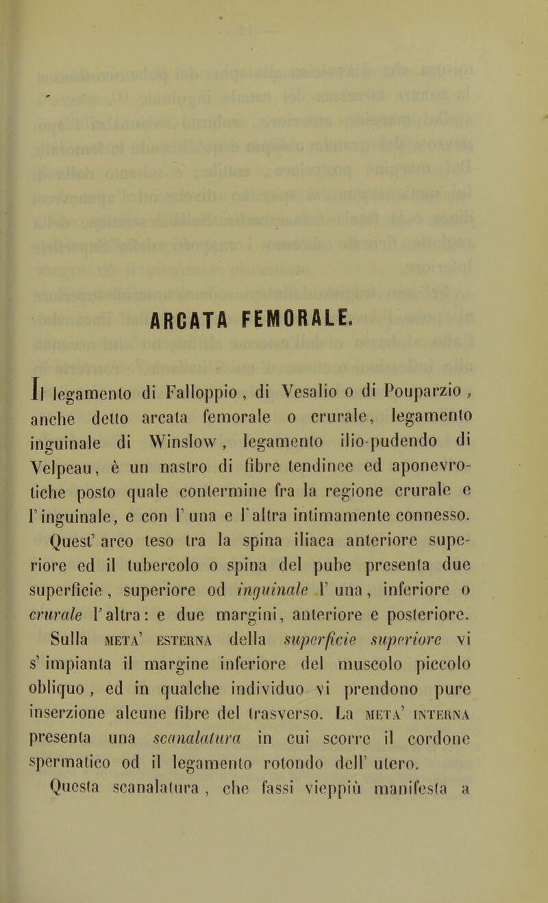 ARCATA FEMORALE. Il Ifigamenlo di l’alloppio, di Vesalio o di Pouparzio , anche dello arcala femorale o crurale, legamenlo inguinale di Winslow, legamenlo ilio-pudendo di Velpeau, è un naslro di fibre lendinoe ed aponevro- liche poslo quale conlermine fra la regione crurale e l’inguinale, e con 1’una e l'allra inlimamenle connesso. Quesl’ arco leso Ira la spina iliaca anleriore supc- riore ed il lubercolo o spina del pube presenta due superficie, superiore od inguinale 1’ una, inferiore o crurale Tallra: e due margini, anleriore e posleriore. Sulla meta’ esterna della superficie superiore vi s’impianla il margine inferiore del muscolo piccolo obliquo, ed in qualche individuo vi prendono pure inserzione alcune fibre del trasverso. La meta’ interna presenta una scanalalura in cui scorre il cordone spermatico od il legamenlo rotondo dell’ utero. Questa scanalalura , che fassi vieppiù manifesta a