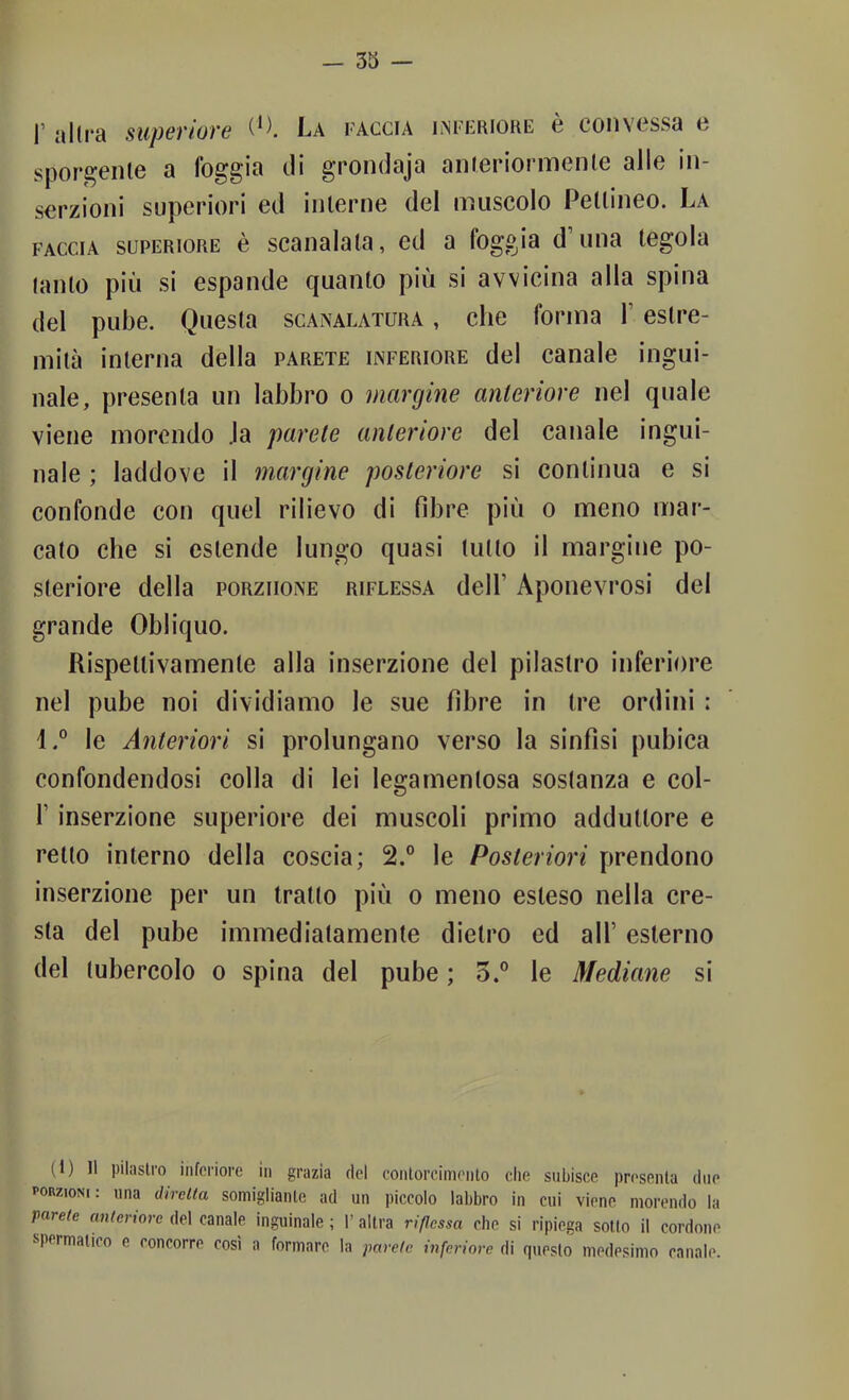 — 33 — r allra superiore La faccia l^fkrioke è convessa e sporgente a foggia eli grondaja anteriormente alle in- serzioni superiori ed interne del muscolo Pettineo. La FACCIA SUPERIORE è Scanalata, ed a foggia d’una tegola tanto più si espande quanto più si avvicina alla spina del pube. Questa scanalatura , che forma V estre- mità interna della parete inferiore del canale ingui- nale, presenta un labbro o margine anteriore nel quale viene morendo .la parete anteriore del canale ingui- nale ; laddove il margine posteriore si continua e si confonde con quel rilievo di fibre più o meno mar- cato che si estende lungo quasi tutto il margine po- steriore della poRziioNE riflessa dell’ Aponevrosi del grande Obliquo. Rispettivamente alla inserzione del pilastro inferiore nel pube noi dividiamo le sue fibre in tre ordini : 4.° le Anteriori si prolungano verso la sinfisi pubica confondendosi colla di lei legamentosa sostanza e col- r inserzione superiore dei muscoli primo adduttore e retto interno della coscia; 2.° le Posteriori prendono inserzione per un tratto più o meno esteso nella cre- sta del pube immediatamente dietro ed all’ esterno del tubercolo o spina del pube ; 3.° le Mediane si (1) Il pilastro inferiore in grazia del conlorciinenlo che subisce presenta due porzioni; una direlta somigliante ad un piccolo labbro in cui viene morendo la varete anlcriore del canale inguinale ; 1’ altra ripessa che si ripiega sotto il cordone spormatico e concorre così a formare la parelc inferiore di questo medesimo canale.
