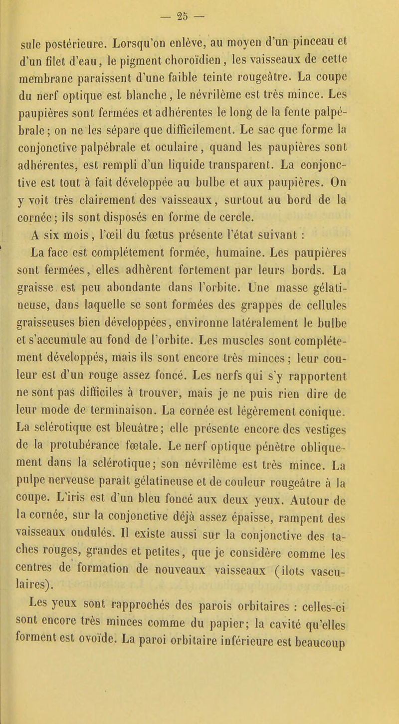 suie postérieure. Lorsqu’on enlève, au moyen d’un pinceau et d’un filet d’eau, le pigment choroïdien, les vaisseaux de cette membrane paraissent d’une faible teinte rougeâtre. La coupe du nerf optique est blanche, le névrilème est très mince. Les paupières sont fermées et adhérentes le long de la fente palpé- brale ; on ne les sépare que difficilement. Le sac que forme la conjonctive palpébrale et oculaire, quand les paupières sont adhérentes, est rempli d’un liquide transparent. La conjonc- tive est tout à fait développée au bulbe et aux paupières. On y voit très clairement des vaisseaux, surtout au bord de la cornée ; ils sont disposés en forme de cercle. A six mois, l’œil du fœtus présente l’état suivant : La face est complètement formée, humaine. Les paupières sont fermées, elles adhèrent fortement par leurs bords. La graisse, est peu abondante dans l’orbite. Une masse gélati- neuse, dans laquelle se sont formées des grappes de cellules graisseuses bien développées, environne latéralement le bulbe et s’accumule au fond de l’orbite. Les muscles sont complète- ment développés, mais ils sont encore très minces ; leur cou- leur est d’un rouge assez foncé. Les nerfs qui s’y rapportent ne sont pas difficiles à trouver, mais je ne puis rien dire de leur mode de terminaison. La cornée est légèrement conique. La sclérotique est bleuâtre; elle présente encore des vestiges de la protubérance fœtale. Le nerf optique pénètre oblique- ment dans la sclérotique; son névrilème est très mince. La pulpe nerveuse paraît gélatineuse et de couleur rougeâtre à la coupe. L’iris est d’un bleu foncé aux deux yeux. Autour de la cornée, sur la conjonctive déjà assez épaisse, rampent des vaisseaux ondulés. Il existe aussi sur la conjonctive des ta- ches rouges, grandes et petites, que je considère comme les centres de formation de nouveaux vaisseaux (îlots vascu- laires). Les yeux sont rapprochés des parois orbitaires : celles-ci sont encore très minces comme du papier; la cavité qu’elles forment est ovoide. La paroi orbitaire inférieure est beaucoup