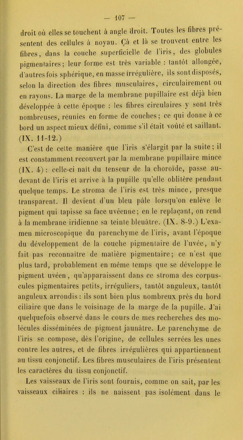 droit où elles se touchent à angle droit. Toutes les fibres pré- sentent des cellules à noyau. Çà et là se trouvent entre les fibres, dans la couche superficielle de l’iris, des globules pignienlaires ; leur forme est très variable : tantôt allongée, d’autres fois sphérique, en masse irrégulière, ils sont disposés, selon la direction des fibres musculaires, circulairement ou en rayons. La marge de la membrane pupillaire est déjà bien développée à cette époque : les fibres circulaires y sont très nombreuses, réunies en forme de couches; ce qui donne à ce bord un aspect mieux défini, comme s’il était voûté et saillant. (IX. 11-12.) C’est de celle manière que l’iris s’élargit par la suite; il est constamment recouvert par la membrane pupillaire mince (IX. 4); celle-ci naît du tenseur de la choroïde, passe au- devant de l’iris et arrive à la pupille qu’elle oblitère pendant quelque temps. Le stroma de l’iris est très mince, presque transparent. Il devient d’un bleu pâle lorsqu’on enlève le pigment qui tapisse sa face uvéenne; en le replaçant, on rend à la membrane iridienne sa teinte bleuâtre. (IX. 8-9.) L’exa- men microscopique du parenchyme de l'iris, avant l’époque du développement de la couche pigmentaire de l’iivée, n’y fait pas reconnailre de matière pigmentaire; ce n’est que plus tard, probablement en même temps que se développe le pigment uvéen, qu’apparaissent dans ce stroma des corpus- cules pigmentaires petits, irréguliers, tantôt anguleux, tantôt anguleux arrondis: ils sont bien plus nombreux près du bord ciliaire que dans le voisinage de la marge de la pupille. J’ai quelquefois observé dans le cours de mes recherches des mo- lécules disséminées de pigment jaunâtre. Le parenchyme de l’iris se compose, dès l’origine, de cellules serrées les unes contre les autres, et de fibres irrégulières qui appartiennent au tissu conjonctif. Les fibres musculaires de l’iris présentent les caractères du tissu conjonctif. Les vaisseaux de l’iris sont fournis, comme on sait, par les vaisseaux ciHaires : ils ne naissent pas isolément dans le