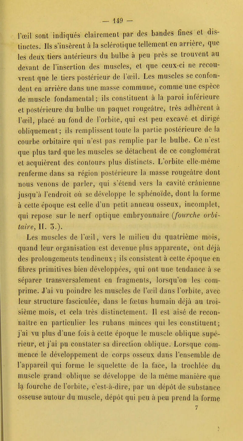 l’œil sont indiques clairement par des bandes fines et dis- tinctes. Ils s’insèrent à la sclérotique tellêment en arrière, que les deux tiers antérieurs du bulbe à peu près se trouvent au devant de l’insertion des muscles, et que ceux-ci ne recou- vrent que le tiers postérieur de l’œil. Les muscles se confon- dent en arrière dans une masse commune, comme une espèce de muscle fondamental; ils constituent à la paroi inférieure et postérieure du bulbe un paquet rougeâtre, très adhèrent à l’œil, placé au fond de l’orbite, qui est peu excavé et dirigé obliquement; ils remplissent toute la partie postérieure de la courbe orbitaire qui n’est pas remplie par le bulbe. Ce n’est que plus tard que les muscles se détachent de ce conglomérat et acquièrent des contours plus distincts. L’orbite elle-même renferme dans sa région postérieure la masse rougeâtre dont nous venons de parler, qui s’étend vers la cavité crânienne jusqu’à l’endroit où se développe le sphénoïde, dont la forme à cette époque est celle d’un petit anneau osseux, incomplet, qui repose sur le nerf optique embryonnaire {fourche orbi- taire, II. 3.). Les muscles de l'œil, vers le milieu du quatrième mois, quand leur organisation est devenue plus apparente, ont déjà des prolongements tendineux ; ils consistent à cette époque en fibres primitives bien développées, qui ont une tendance à se séparer transversalement en fragments, lorsqu’on les com- prime. J’ai vu poindre les muscles de l’œil dans l’orbite, avec leur structure fasciculée, dans le fœtus humain déjà au troi- sième mois, et cela très distinctement. Il est aisé de recon- naître en particulier les rubans minces qui les constituent; j’ai vu plus d’une fois à cette époque le muscle oblique supé- rieur, et j’ai pu constater sa direction oblique. Lorsque com- mence le développement de corps osseux dans l’ensemble de l’appareil qui forme le squelette de la face, la trochlée du muscle grand oblique se développe de la même manière que la fourche de l’orbite, c’est-à-dire, par un dépôt de substance osseuse autour du muscle, dépôt qui peu à peu prend la forme 7