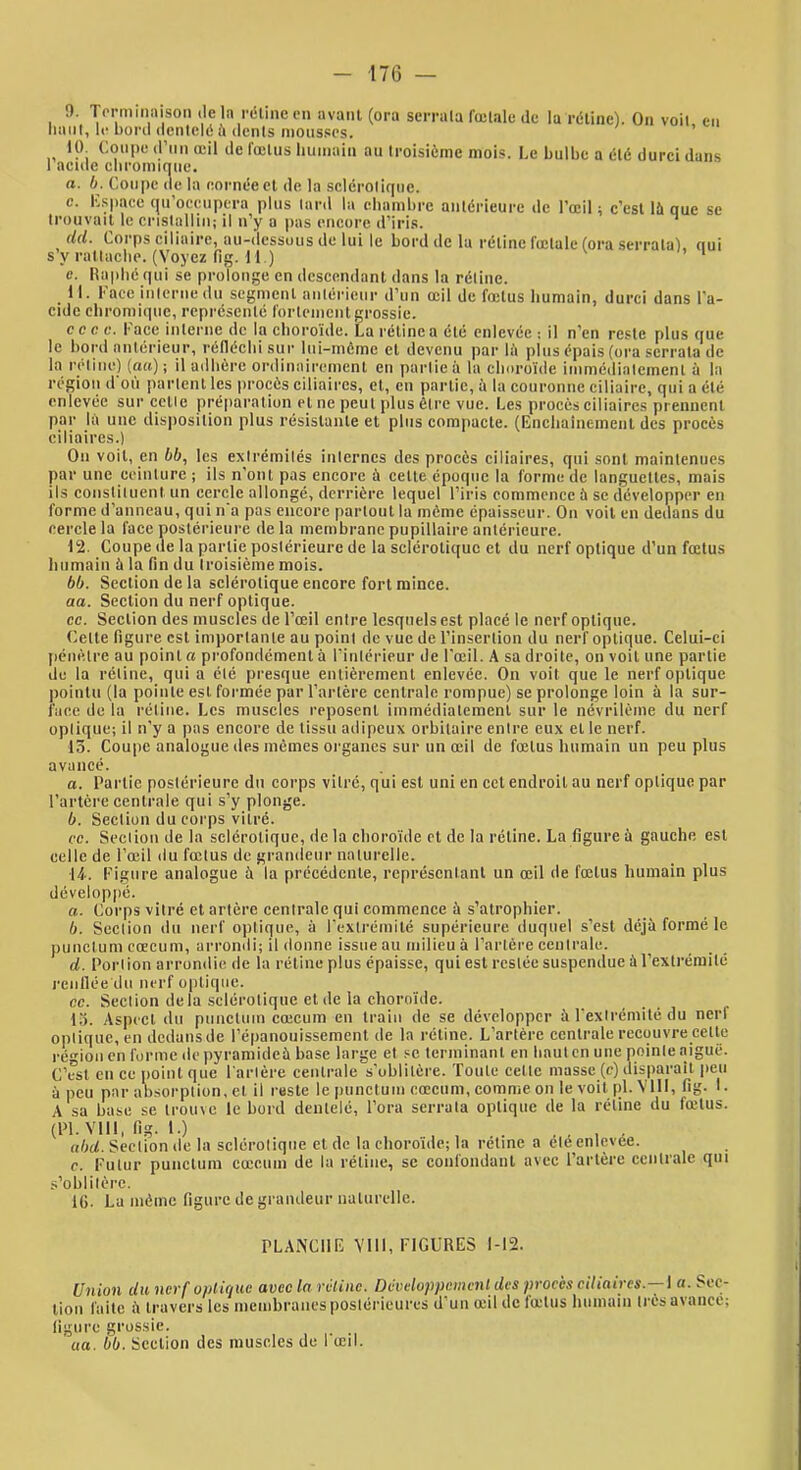 naiil, le boni dentelé ù dents mousses. ’ 10 Coupe d’nn œil de fœtus humain au troisième mois. Le bulbe a été durci dans 1 acide cbromicitie. a. b. Coupe de la cornée et de la scléroliqne. c. Ivsiiace (ju’oceupera plus lard la ebambre antérieure de l’œil ; c’est là que se trouvait le cristallin; il n’y a pas encore d’iri.s. ^ dd. Corps ciliaire, au-dessous de lui le bord de la rétine fœtale fora serralal. nui s’y ratlaclie. (Voyez fig. 11.) ’ ' e. Hapbé qui se prolonge en descendant dans la réline. 11. Face iiilcrne du segment aniérieur d’un œil de fœtus humain, durci dans l’a- cidc ebromique, représenté fortenienl grossie. e e c e. I* ace interne (le la choroïde. La rétine a été enlevée ; il n’en reste plus ([ue le bord aniérieur, réfléchi sur lui-même et devenu par là plus épais (ora serrata de la réline) [au) ; il adhère ordinairement en parlie à la choroïde immédialemenl à la région d où parlent les procès ciliaires, et, en partie, à la couronne ciliaire, qui a été enlevée sur cetle préparation et ne peut plus être vue. Les procès ciliaires prennent par la une dis]iosilion plus résistante et plus compacte, (lünchainemenl des procès ciliaires.) Ou voit, en les exlrérnilés inlernes des procès ciliaires, qui sont maintenues par une ceinture ; ils n’ont pas encore à cette époque la forme de languettes, mais ils coiisliluent un cercle allongé, derrière lequel l’iris commence à se développer en forme d’anneau, qui n'a pas encore partout la même épaisseur. On voit en dedans ilu cercle la face postérieure delà membrane pupillaire antérieure. 12. Coupe de la partie postérieure de la sclérotique et du nerf optique d’un fœtus humain à la fin du Iroisième mois. bb. Section de la sclérotique encore fort mince. aa. Section du nerf optique. ce. Section des muscles de l’œil entre lesquels est placé le nerf optique. Cette figure est importante au point de vue de l’insertion du nerf optique. Celui-ci pénètre au point a profondément à l’intérieur de l’œil. A sa droite, on voit une partie de la rétine, qui a été presque entièrement enlevée. On voit que le nerf optique |)ointu (la pointe est formée par l’artère centrale rompue) se prolonge loin à la sur- face de la réliiie. Les muscles reposent immédiatement sur le névrilème du nerf opiique; il n’y a pas encore de tissu adipeux orbitaire entre eux et le nerf. 13. Coupe analogue des mêmes organes sur un œil de fœtus humain un peu plus avancé. a. Partie postérieure du corps vitré, qui est uni en cct endroit au nerf optique par l’artère centrale qui s’y plonge. b. Section du corps vitré. cc. Section de la sclérotique, de la choroïde et de la rétine. La figure à gauche est celle de l’œil du fœtus de grandeur naturelle. •14-. Figure analogue à la précédente, représentant un œil de fœtus humain plus dévelop|)é. a. Corps vitré et artère centrale qui commence à s’atrophier. b. Section du nerf opiique, à rextrémité supérieure duquel s’est déjà formé le punctum cæcum, arrondi; il donne issue au milieu à l’artère centrale. d. Portion arrondie de la rétine plus épaisse, qui est restée suspendue à l’extréraité l'ciillée du nerf o[)tiqiie. cc. Section delà sclérotique et de la choroïde. 13. Aspect du punctum cæcum en train de se développer à l'extrémité du nerf opiique, en dedans de l’épanouissement de la rétine. L’artère centrale rec(juvre cette région en forme de pyramideà base large et se terminant en haut en une pointe aiguë. C’est en cc point que l'artère centrale s'oblitère. Toute cette masse (c) disparaît |ieu à peu par absorption, et il reste le punctum cæcum, comme on le voit pl. VIII, fig. I. A sa base se trouve le bord dentelé. Fora serrata optique de la rétine du fœtus. (Pl. Vlll, fig. 1.) . ubd. Section de la scléroliqne et de la choroïde; la rétine a eléenlevee. c. Futur punctum cæcum de la rétine, se confondant avec l’artère centrale qui s’oblitère. IG. La même figure de grandeur naturelle. PLANCHE Vlll, FIGURES 1-12. Union du nerf optique avec la rétine. Développement des procè)i ciliaires.— 1 a. Sec- tion faite à travers les membranes postérieures d’un œil de fœtus humain très avance; figure grossie. ua. bb. Section des muscles de I œil.