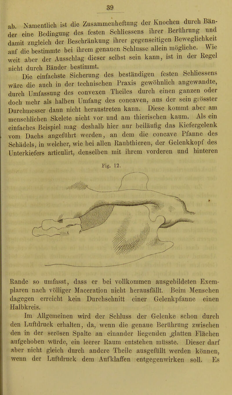 ab. Namentlich ist die Zusammenheftung der Knochen durch Bän- der eine Bedingung des festen Schliessens ihrer Berührung und damit zugleich der Beschränkung ihrer gegenseitigen Beweglichkeit auf die bestimmte bei ihrem genauen Schlüsse allein mögliche. Wie weit aber der Ausschlag dieser selbst sein kann, ist m der Regel nicht durch Bänder bestimmt. Die einfachste Sicherung des beständigen festen Schliessens wäre die auch in der technischen Praxis gewöhnlich angewandte, durch Umfassung des convexen Theiles durch einen ganzen oder doch mehr als halben Umfang des concaven, aus der sein grösster Durchmesser dann nicht heraustreten kann. Diese kommt aber am menschlichen Skelete nicht vor und am thierischen kaum. Als ein einfaches Beispiel mag deshalb hier nui beiläufig das Kieleigelenk vom Dachs angeführt werden, an dem die concave Pfanne des Schädels, in welcher, wie bei allen Raubthieren, der Gelenkkopf des Unterkiefers articulirt, denselben mit ihrem vorderen und hinteren Pig. 12. Rande so umfasst, dass er bei vollkommen ausgebildeten Exem- plaren naeh völliger Maceration nicht herausfällt. Beim Menschen dagegen erreicht kein Durchschnitt einer Gelenkpfanne einen Halbkreis. Im Allgemeinen wird der Schluss der Gelenke schon durch den Luftdruck erhalten, da, wenn die genaue Berührung zwischen den in der serösen Spalte an einander liegenden ^glatten Flächen aufgehoben würde, ein leerer Raum entstehen müsste. Dieser darf aber nicht gleich durch andere Theile ausgefüllt werden können, wenn der Luftdruck dem Aufklaffen entgegenwirken soll. Es