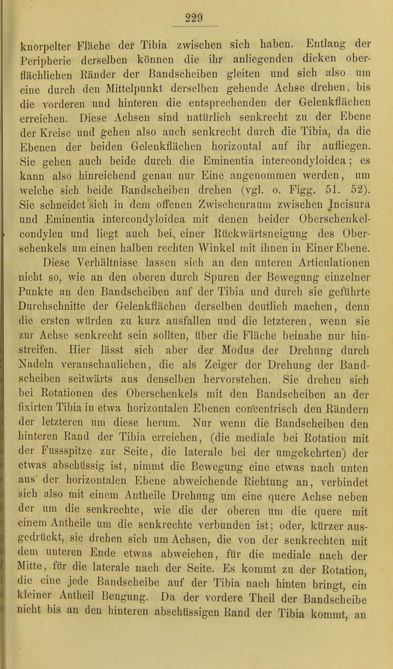 knorpelter Fläche der Tibia zwischen sich haben. Entlang der Peripherie derselben können die ihr anliegenden dicken ober- flächlichen Ränder der Bandscheiben gleiten und sich also um eine durch den Mittelpunkt derselben gehende Achse drehen, bis die vorderen und hinteren die entsprechenden der Gelenkflächen erreichen. Diese Achsen sind natürlich senkrecht zu der Ebene der Kreise und gehen also auch senkrecht durch die Tibia, da die Ebenen der beiden Gelenkflächen horizontal auf ihr aufliegen. Sie gehen auch beide durch die Eminentia intercondyloidea; es kann also hinreichend genau nur Eine angenommen werden, um welche sich beide Bandscheiben drehen (vgl. o. Figg. 51. 52). Sie schneidet sich in dem offenen Zwischenraum zwischen Incisura und Eminentia intercondyloidea mit denen beider Oberschenkel- condylen und liegt auch bei, einer Rückwärtsneigung des Ober- schenkels um einen halben rechten Winkel mit ihnen in Einer Ebene. Diese Verhältnisse lassen sich an den unteren Articulationen nicht so, wie an den oberen durch Spuren der Bewegung einzelner Punkte an den Bandscheiben auf der Tibia und durch sie geführte Durchschnitte der Gelenkflächen derselben deutlich machen, denn die ersten würden zu kurz ausfallen und die letzteren, wenn sie zur Achse senkrecht sein sollten, über die Fläche beinahe nur hin- streifen. Hier lässt sich aber der Modus der Drehung durch Nadeln veranschaulichen, die als Zeiger der Drehung der Band- scheiben seitwärts aus denselben hervorstehen. Sie drehen sich bei Rotationen des Oberschenkels mit den Bandscheiben an der fixirten Tibia in etwa horizontalen Ebenen con'centrisch den Rändern der letzteren um diese herum. Nur wenn die Bandscheiben den hinteren Rand der Tibia erreichen, (die mediale bei Rotation mit der Fussspitze zur Seite, die laterale bei der umgekehrten) der etwas abschüssig ist, nimmt die Bewegung eine etwas nach unten aus' der horizontalen Ebene abweichende Richtung an, verbindet sich also mit einem Antheile Drehung um eine quere Achse neben der um die senkrechte, wie die der oberen um die quere mit einem Antheile um die senkrechte verbunden ist; oder, kürzer aus- gedrückt, sie drehen sich um Achsen, die von der senkrechten mit dem unteren Ende etwas abweichen, für die mediale nach der Mitte, für die laterale nach der Seite. Es kommt zu der Rotation, die eine jede Bandscheibe auf der Tibia nach hinten bringt, ein kleiner Antheil Beugung. Da der vordere Theil der Bandscheibe nicht bis an den hinteren abschüssigen Rand der Tibia kommt, an