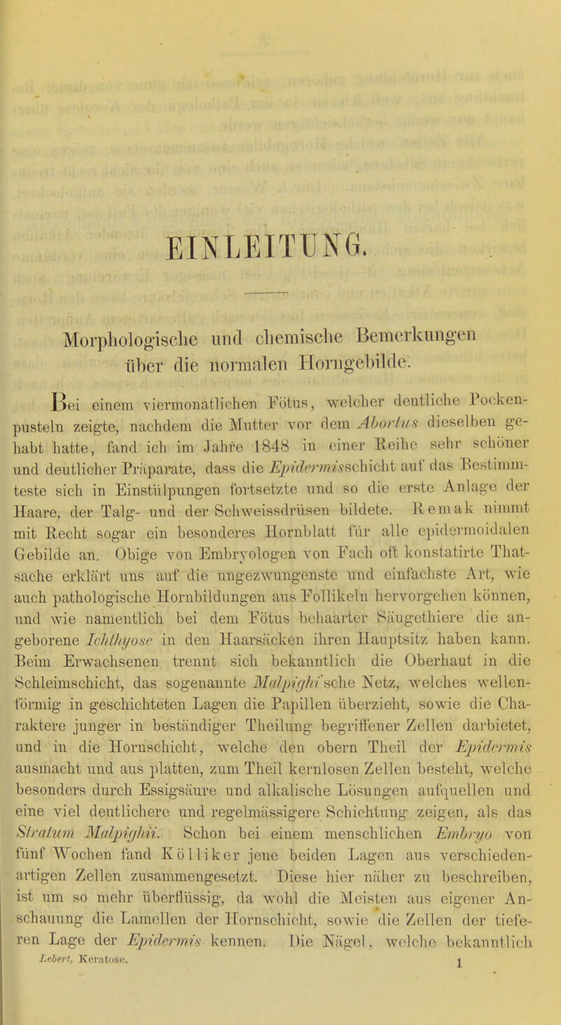 EINLEITUNG. Morpholog’isclie und clieiuisclie Bemerkungen über die normalen Horngelnlde. Hei einem vierraonatliclien Fötus, welcher deutliche Pocken- pusteln zeigte, nachdem die Miitter vor dem Ahorlus dieselben ge- habt hatte, fand ich im Jahre 1848 in einer Eeihe sehr schöner und deutlicher Präparate, dass die J^;?'f?fv■w?^5schicht aut das Bestimm- teste sich in Einstülpungen fortsetzte und so die erste Anlage der Haare, der Talg’- und der Schweissdrüsen bildete. Hemak nimmt mit Hecht sogar ein besonderes Hornblatt für alle cpidermoidalen Gebilde an. Obige von Embryologen von Fach oft konstatirte That- sache erklärt uns auf die ungezwungenste und einfachste Art, wie auch pathologische Hornbildungen aus Follikeln hervorgehen können, und wie namentlich bei dem P'ötus behaarter Bäugethiere die an- geborene Ichthyosc in den Haarsäcken ihren Hauptsitz haben kann. Beim Erwachsenen trennt sich bekanntlich die Oberhaut in die Bchleinischicht, das sogenannte MaIpnjhi'tiQ\\Q Hetz, welches wellen- förmig in geschichteten Lagen die Papillen überzieht, sowie die Cha- raktere junger in beständiger Theilung begriffener Zellen darbietet, und in die Horuschicht, welche den obern Theil der Ejmhrmis ausmacht und aus platten, zum Theil kernlosen Zellen besteht, welche besonders durch Essigsäure und alkalische Lösungen aufquellen und eine viel deutlichere und regelmässigero Schichtung zeigen, als das Slrakim Malptighn. Schon bei einem menschlichen Embryo von fünf Wochen fand Kölliker jene beiden Lagen aus verschieden- artigen Zellen zusammengesetzt. Diese hier näher zu beschreiben, ist um so mehr überflüssig, da wohl die Meisten aus eigener An- schauung die Lamellen der Hornschicht, sowie die Zellen der tiefe- ren Lage der Epidenm's kennen. Die Hagel, welche bekanntlich