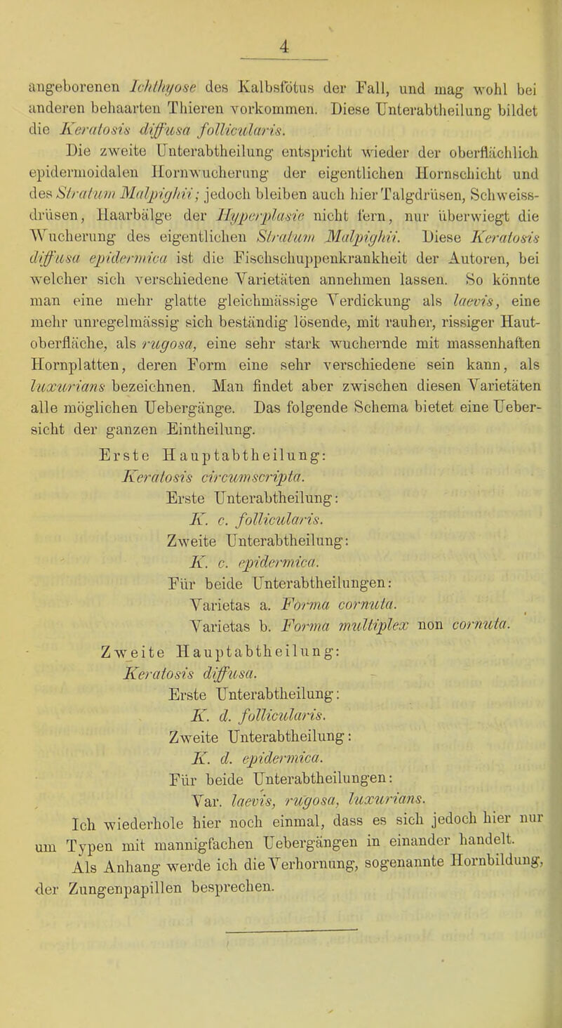 angeborenen Ichlhyose des Kalbsfötns der Fall, und mag wohl bei anderen behaarten Thieren Vorkommen. Diese TJnterabtheilung bildet die Kemlosin difftisa follicularis. Die zweite IJnterabtheilung entspricht wieder der oberflächlich epidermoidalen Kornwucheriing der eigentlichen Hornschicht und Ae9>Slraiuw Malpighn; jedoch bleiben auch hier Talgdrüsen, Schweiss- drüsen, Haarbälge der Hyperplasie nicht lern, nur überwiegt die Wucherung des eigentlichen Slralmn Malpighii. Diese Keraiosis diffusa epidermiea ist die Fischschuppenkrankheit der Autoren, bei welcher sich verschiedene Varietäten annehmen lassen. So könnte man eine mehr glatte gleichmässige Verdickung als laevis, eine mehr unregelmässig sich beständig lösende, mit rauher, rissiger Haut- oberfläche, als rugosa, eine sehr stark wuchernde mit massenhaften Hornplatten, deren Form eine sehr verschiedene sein kann, als luxurians bezeichnen. Man findet aber zwischen diesen Varietäten alle möglichen Uebergänge. Das folgende Schema bietet eine Heber- sicht der ganzen Eintheilung. Erste Hauptabtheilung: Keraiosis cn-cumscripta. Erste TJnterabtheilung: K. c. follicularis. Zweite TJnterabtheilung: K. c. epidermiea. Für beide TJnterabtheilnngen: Varietas a. Forvia cornuta. Varietas b. Forma multiplex non cornuta. Zw_eite Hauptabtheilung: Keratosis diffusa. Erste TJnterabtheilung: K. d. follicularis. Zweite TJnterabtheilung: ^ K. d. epidermiea. Für beide TJnterabtheilungen: Var. laevis, rugosa, luxiirians. Ich wiederhole hier noch einmal, dass es sich jedoch hier nur um Typen mit mannigfachen TJebergängen in einander handelt. Als Anhang werde ich die Verhornung, sog'enannte Hornbildung, der Zungenpapillen besprechen.