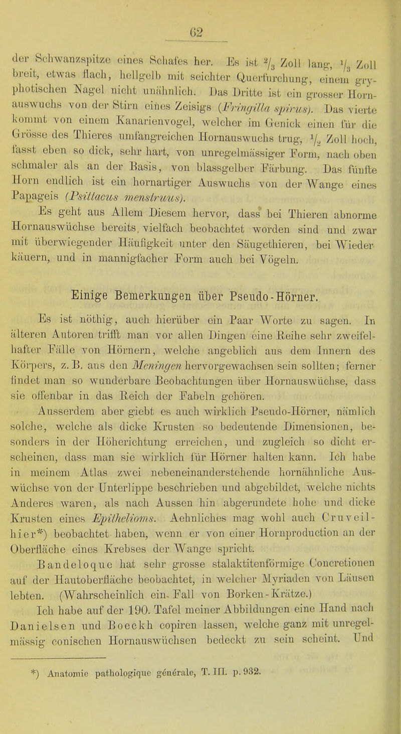 der Seilwanzspitze eines Scliaies her. Es ist Zoll lanp;, ’/g Zoll breit, etwas tlacli, liellgell) mit seichter Quertiirchung, eineiu giy- photischen Nagel nicht umihnlich. Das Dritte ist ein grosser llorn- answuchs von der Stirn eines Zeisigs {IMmfdla .sjnnts). Das vierte kommt von einem Kanarienvogel, welcher im Genick einen lui- die Grosse des Thieres umfangreichen Ilornauswuchs trug, Zoll hoch, lasst eben so dick, sehr hart, von unregelmässiger Eorm, nach oben schmaler als an der Basis, von blassgelber Färbung. Das fünfte H orn endlich ist ein hornartiger Auswuchs von der Wange eines Papageis (Fsittcccus mensiruus). Es geht aus Allem Diesem hervor, dass bei Thieren abnorme Ilornauswüchse bereits, vielfach beobachtet worden sind und zwar mit überwiegender Häufigkeit unter den Säugethieren, bei Wieder käuern, und in mannigfacher Eorm auch bei A^ögeln. Einige Bemerkungen über Pseudo-Hörner. Es ist nöthig, auch hierüber ein Paar Worte zu sagen. In älteren Autoren tiilft man vor allen Dingen eine Beihe sehr zweifel- hafter Fälle von Hörnern, welche angeblich aus dem Innern des Körpers, z. B. aus den hervorgewachsen sein sollten; ferner findet man so wunderbare Beobachtungen über Hornaaswüchse, dass sie offenbar in das Beich der Fabeln gehören. Ausserdem aber giebt es auch wh’klich Pseudo-Hörner, nämlich solche, welche als dicke Krusten so bedeutende Dimensionen, be- sonders in der Höherichtung erreichen, und zugleich so dicht er- scheinen, dass man sie wirklich für Hörner halten kann. löh habe in meinem Atlas zwei nebeneinanderstehende hornähnliche Aus- wüchse von der Unterlippe beschrieben und abgcbildet, welche nichts Anderes waren, als nach Aussen hin abgerundete hohe und dicke Krusten eines EpUhelioms. Aehnliches mag wohl auch Cr uv eil- hier*’) beobachtet haben, wenn er von einer Hornproduction an der Oberfläche eines Krebses der Wange spricht. Bandeloque hat sehr grosse stalaktitenförmige Concretionen auf der Hautoberfiäche beobachtet, in welcher Myriaden von Läusen lebten. (AV^ahrscheinlich ein-Fall von Borken-Krätze.) Ich habe auf der 190. Tafel meiner Abbildungen eine Hand nach Danielsen und Boeckh copiren lassen, welche ganz mit unregel- mässig conischen Hornauswüchsen bedeckt zu seiu scheint. Und *) Anatüinic pat.bologique generale, T. Ifl. p. 932.