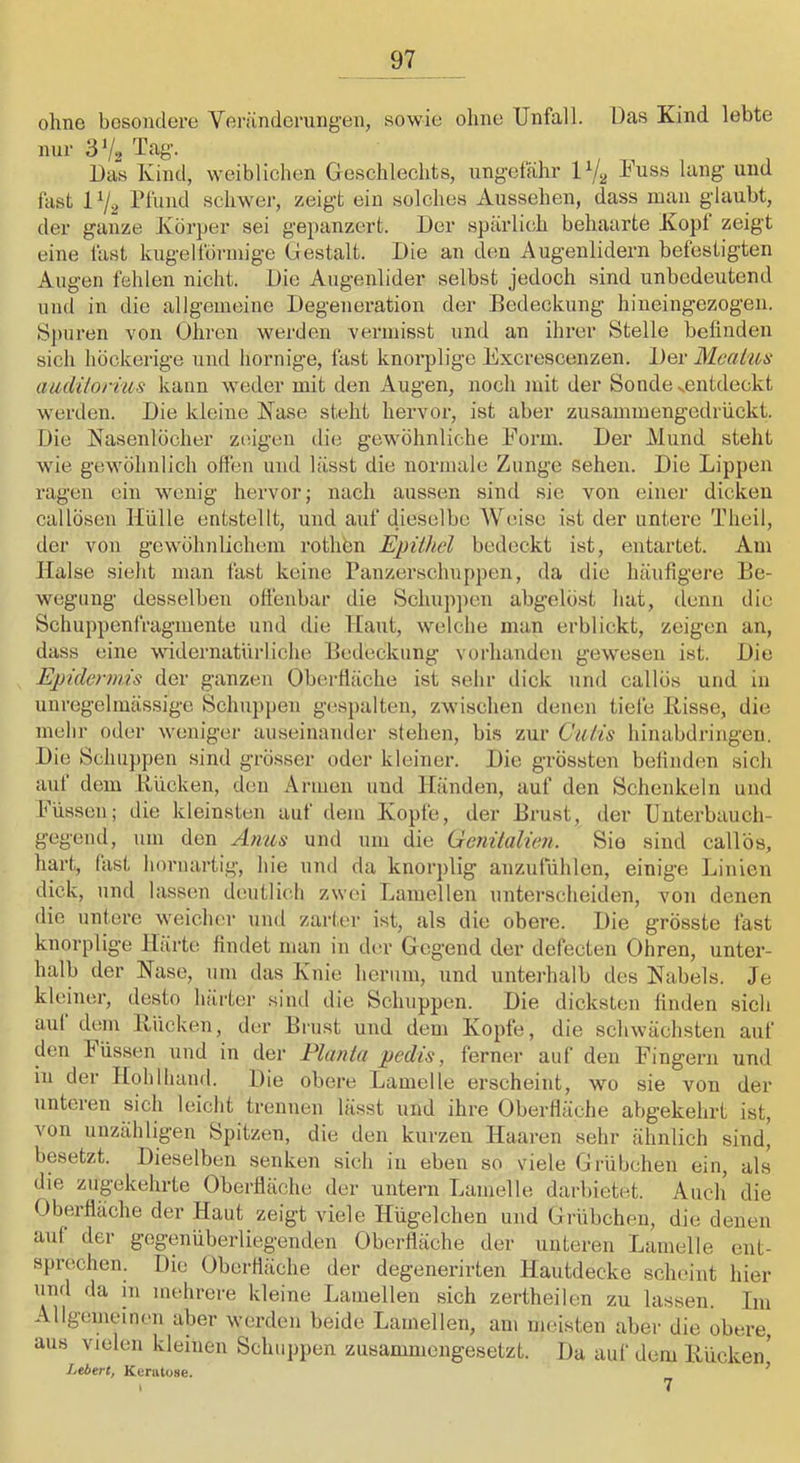 ohne besondere Veninderung'en, sowie ohne Unfall. Das Kind lebte mir 3 Vs Das Kind, weiblichen Geschlechts, ungefähr P/a Kuss lang und fast 1V2 Ihimd schwer, zeigt ein solches Aussehen, dass mau glaubt, der ganze Körper sei gepanzert. Der spärlich behaarte Kopf zeigt eine fast kugeltörniige Gestalt. Die an den Augenlidern befestigten Augen fehlen nicht. Die Augenlider selbst jedoch sind unbedeutend und in die allgemeine Degeneration der Bedeckung hineingezogen. 8])uren von Ohren werden vermisst und an ihrer Stelle befinden sich höckerige und hornige, fast knorplige Excrescenzen. Der Mcaiiis aiuiilorius kann weder mit den Augen, noch mit der Sonde xcntdeckt werden. Die kleine Käse steht hervor, ist aber zusammengedrückt. Die Nasenlöcher zeigen die gewöhnliche Form. Der Alund steht wie gewöhnlich offen und lässt die normale Zunge sehen. Die Lippen ragen ein wenig hervor; nach aussen sind sie von einer dicken callösen Hülle entstellt, und auf dieselbe AVeise ist der untere Theil, der von gewöhnlichem rothbn Epithel bedeckt ist, entartet. Am Halse sieht man fast keine Panzerschuppen, da die häufigere Be- wegung desselben offenbar die Schuppen abgelöst hat, denn die Schuppenfragmente und die Haut, w^elche man erblickt, zeigen an, dass eine widernatürliche Bedeckung vorhanden gewesen ist. Die Epidermis der ganzen Oberfläche ist sehr dick und callös und in unregelmässige Schuppen gespalten, zwischen denen tiefe Bisse, die mehr oder weniger auseinander stehen, bis zur Cutis hinabdringen. Die Schu})pen sind grösser oder kleiner. Die grössten befinden sich auf dem Bücken, den Annen und Händen, auf den Schenkeln und Füssen; die kleinsten auf dem Kopfe, der Brust, der Unterbauch- gegeiul, um den Anus und um die Cenitalien. Sie sind callös, hart, fast hornartig, hie und da knorplig anzufühlen, einige Linien dick, und lassen deutlich zwei Lamellen untei’scheiden, a'ou denen die untere weicluir und zarter ist, als die obere. Die grösste fast knorplige Härte findet man in der Gegend der defecten Ohren, unter- halb der Nase, um das Knie herum, und unterhalb des Nabels. Je kleiner, desto häi'ter sind die Schuppen. Die dicksten finden sich axit dem Bücken, der Brust und dem Kopfe, die schwächsten auf den Füssen und in der Planta pedis, ferner auf den Fingern und in der Hohlhand. Die obere Lamelle erscheint, wo sie von der unteren sich leicht trennen lässt und ihre Oberfläche abgekehrt ist, von unzähligen Spitzen, die den kurzen Haaren sehr ähnlich sind, besetzt. Dieselben senken sich in eben so viele Grübchen ein, als die zugekehrte Oberfläche der untern Lamelle darbietet. Auch die Oberfläche der Haut zeigt viele Hügelchen und Grübchen, die denen auf der gegenübexdiegenden Oberfläche der unteren Lamelle ent- sprechen. Die Oberfläche der degenerirten Hautdecke scheint hier xmd da m mehrere kleine Lamellen sich zertheilen zu lassen. Im Allgemeinen aber werden beide Lamellen, am meisten aber die obere, aus vielen kleinen Schuppen zusammengesetzt. Da auf dem Bücken’ Lebert, Keratose. ’