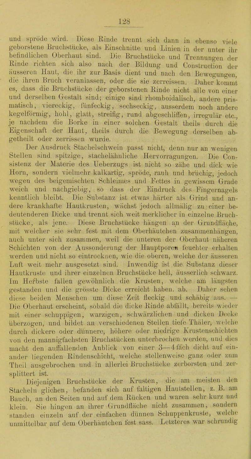 uiul sprüde wird. Diese llindo trennt sicli dünn in ebenso viele geborstene Bruchstücke, als Einschnitte und Linien in der xinter ihr belindlichen Oberliaut sind. Die Bruchstücke und Trennungen der Rinde richten sich also nach der Eildung und (Jonstruction der ausseien Haut, die ihr zur Basis dient und nach den Bewegungen, die ihren Bruch veranlassen, oder die sie zerreissen. Daher koniint es, dass die Bruchstücke der geborstenen Rinde nicht alle von einer und derselben G-estalt sind; einige sind rhomboidalisch, andere pris- matisch, viereckig, lünfeckig, sechseckig, ausserdem noch andere kegelförmig, hohl, glatt, streifig, rund abgeschliffen, irregulär etc., je nachdem die Borke in einer solchen Gestalt theils durch die Eigenschaft der Haut, theils durch die Bewegung derselben ab- getheilt oder zerrissen wurde. Der Ausdruck Stachelschwein passt nicht, denn nur an wenigen Stellen sind spitzige, stachelähiiliche Hervorragungen. Die Con- sistenz der Materie des Ueberzugs ist nicht so zähe und dick wie Korn, sondern vielmehr kalkartig, spröde, rauh und brüchig, jedoch wegen des beigemischten Schleimes und Fettes in gewissem Grade weich und nachgiebig, so dass der Eindruck des Fingernagels kenntlich bleibt. Die Substanz ist etwas harter als Grind und an- dere krankliafte Hautkrusten, wächst jedoch allmälig zu einer be- deutenderen Dicke und trennt sich weit merklicher in einzelne Bruch- stücke, als jene. Diese Bruchstücke hängen an der Grundfläche, mit welcher sie sehr fest mit dem Oberhäutchen Zusammenhängen, auch untei’ sich zusammen, weil die unteren der Oberhaut näheren Schichten von der Aussonderung der Hauptpore« feuchter erhalten werden und nicht so eintrockuen, wie die oberen, welche der äusseren Luft weit mehr ausgesetzt sind. Inwmndig ist die Substanz dieser Hautkruste und ihrer einzelnen Bruchstücke hell, äusserlich schwarz. Im Hefbste fallen gewöhnlich die Krusten, welche am längsten gestanden und die grösste Dicke erreicht haben, ab. Daher sehen diese beiden Menschen um diese Zeit fleckig und schäbig aus. — Die Oberhaut erscheint, sobald die dicke Rinde abfällt, bereits wieder mit einer schuppigen, warzigen, schwärzlichen und dicken Decke überzogen, und bildet an verschiedenen Stellen tiefe Thäler, welche durch dickere oder dünnere, höhere oder niedrige Krustenschichten von den mannigfachsten Bruchstücken unterbrochen werden, und dies macht den aufiallenden Anblick von einer 3—4 lach dicht auf ein- ander liegenden Rindeuschicht, welche stellenweise ganz oder zum Theil ausn'ebrochen und in allerlei Bruchstü(;ke zerborsten und zer- splittert ist. iJiejcnigen Bruchstücke der Krusten, die am meisten den Stacheln glichen, befanden sich auf faltigen Hautstellen, z. B. am Bauch, an den Seiten und auf dem Rücken und waren sehr kurz und klein. Sie hingen an ihrer Grundfläche nicht zusammen, soiidern standen einzeln auf der einlacheu dünnen Schuppenkruste, veklic unmittelbar auf dem ObeJ'häutchen lest sass. Letzteres war schrundig