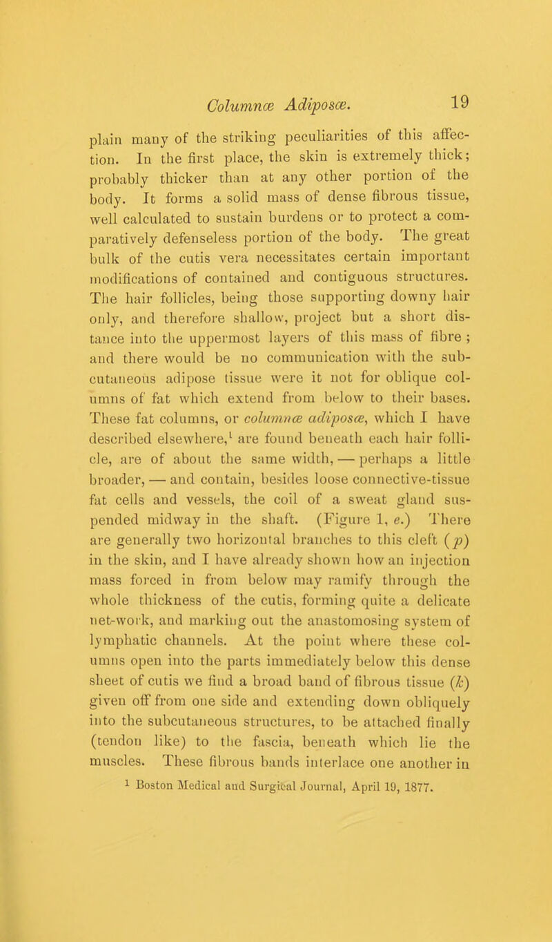 plain many of the striking peculiarities of this affec- tion. In the first place, the skin is extremely thick; probably thicker than at any other portion of the body. It forms a solid mass of dense fibrous tissue, well calculated to sustain burdens or to protect a com- paratively defenseless portion of the body. 'Ihe great bulk of the cutis vera necessitates certain important modifications of contained and contiguous structures. The hair follicles, being those supporting downy hair only, and therefore shallow, project but a short dis- tance into tlie uppermost layers of this mass of fibre ; and there would be no communication with the sub- cutaneous adipose tissue were it not for oblique col- umns of fat which extend from below to their bases. These fat columns, or columnce adiposce, which I have described elsewhere,^ are found beneath each hair folli- cle, are of about the same width, — perhaps a little broader, — and contain, besides loose connective-tissue fat cells and vessels, the coil of a sweat gland sus- pended midway in the shaft. (Figure 1, e.) There are generally two horizontal branches to this cleft (y?) in the skin, and I have already shown how an injection mass forced in from below may ramify through the whole thickness of the cutis, forming quite a delicate net-work, and marking out the anastomosing system of lymphatic channels. At the point where these col- umns open into the parts immediately below this dense sheet of cutis we find a broad baud of fibrous tissue (Jc) given off from one side and extending down obliquely into the subcutaneous structures, to be attached finally (tendon like) to the fascia, beneath which lie the muscles. These fibrous bands interlace one another in 1 Boston Medical and Surgical Journal, April 19, 1877.