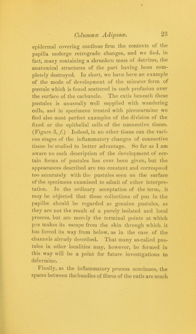 epidermal covering continue firm the contents of tlie papilla undergo retrograde changes, and we find, in fact, many containing a shrunken mass of detritus, the anatomical structures of the part having been com- pletely destroyed. In short, we have hei'e an example of the mode of development of the minuter form of pustule which is found scattered in such profusion over the surface of the carbuncle. The cutis beneath these pustules is unusually well supplied with wandering cells, and in specimens treated with picrocarmine we find also most perfect examples of the division of the fixed or the epithelial cells of the connective tissue. (Figure 3,y’.) Indeed, in no other tissue can the vari- ous stages of the inflammatory changes of connective tissue he'studied to better advantage. So far as I am aware no such description of the development of cer- tain forms of pustules has ever been given, but the appearances described are too constant and correspond too accurately with the pustules seen on the surface of the specimens examined to admit of other interpre- tation. In the ordinary acceptation of the term, it may he objected that these collections of pus in the papillaj should be regarded as genuine pustules, as they are not the result of a jnirely isolated and local process, hut are merely the terminal points at which pus makes its escape from the skin through which it has forced its way from below, as in the case of the channels already described. That many so-called pus- tules in other localities may, however, be formed in this w'ay will be a point for future investigations to determine. Finally, as the inflammatory process continues, the spaces between the bundles of fibres of the cutis are much