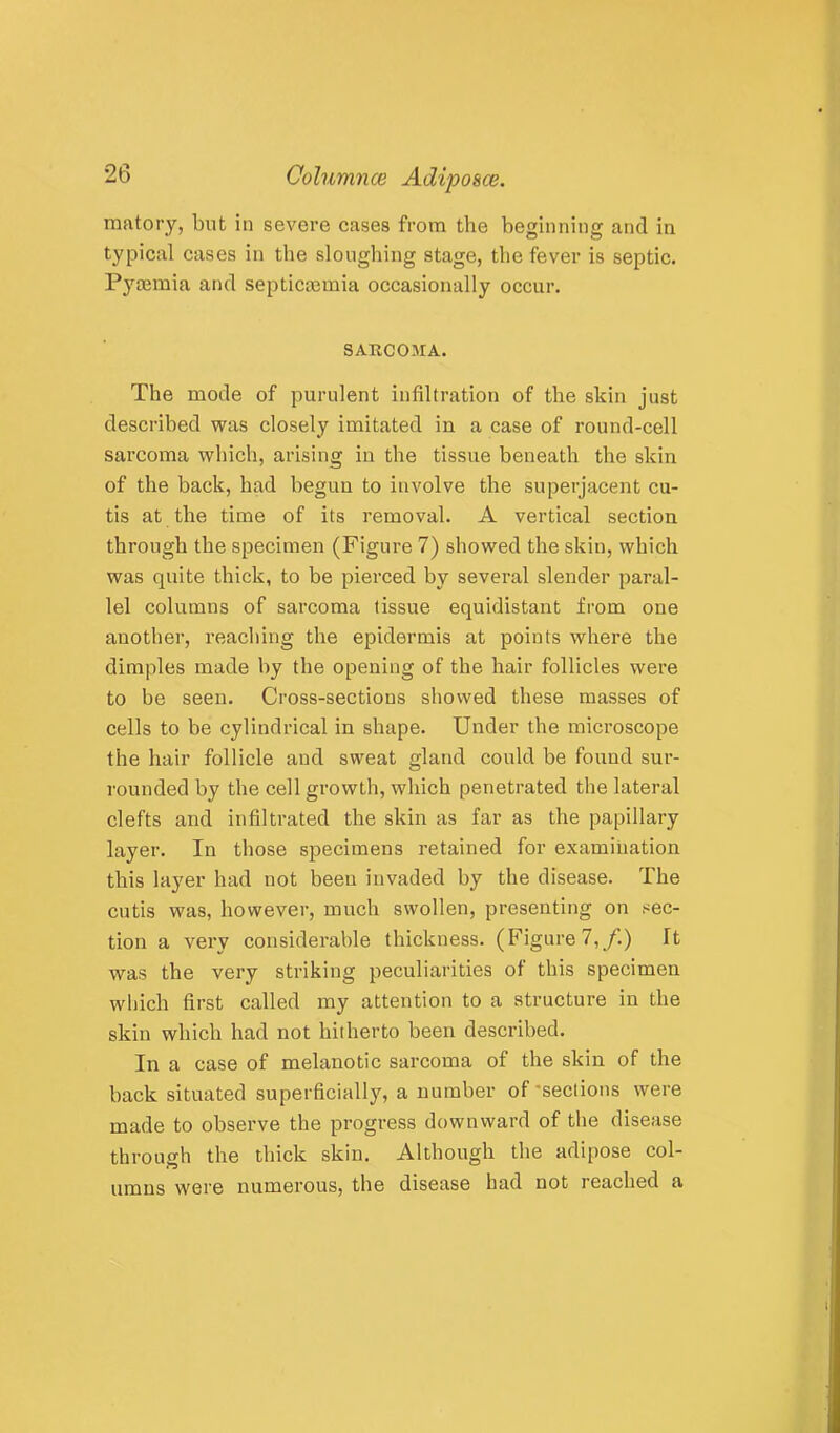 matory, but in severe cases from the beginning and in typical cases in the sloughing stage, the fever is septic. Pyaiiuia and septicosmia occasionally occur. SARCOIIA. The mode of purulent infiltration of the skin just described was closely imitated in a case of round-cell sarcoma which, arising in the tissue beneath the skin of the back, had begun to involve the superjacent cu- tis at the time of its removal. A vertical section through the specimen (Figure 7) showed the skin, which was quite thick, to be pierced by several slender paral- lel columns of sarcoma tissue equidistant from one another, reaching the epidermis at points where the dimples made by the opening of the hair follicles were to be seen. Cross-sections showed these masses of cells to be cylindrical in shape. Under the microscope the hair follicle and sweat gland could be found sur- rounded by the cell growth, which penetrated the lateral clefts and infiltrated the skin as far as the papillary layer. In those specimens retained for examination this layer had not been invaded by the disease. The cutis was, however, much swollen, presenting on sec- tion a very considerable thickness. (Figure 7,/I) It was the very striking peculiarities of this specimen wliich first called my attention to a structure in the skin which had not hitherto been described. In a case of melanotic sarcoma of the skin of the back situated superficially, a number of'sections were made to observe the progress downward of the disease through the thick skin. Although the adipose col- umns were numerous, the disease had not reached a
